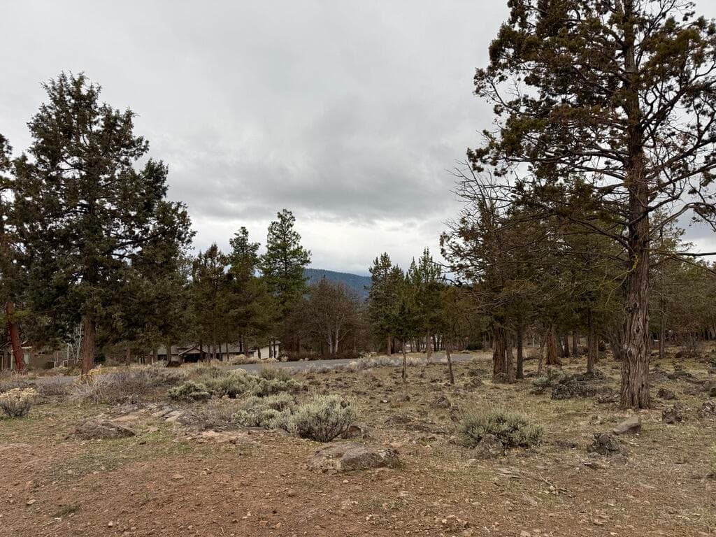 Lot 533. Photo 1 of 30, 0 Dowitcher Road Unit Lot 533, Klamath Falls, OR 97601