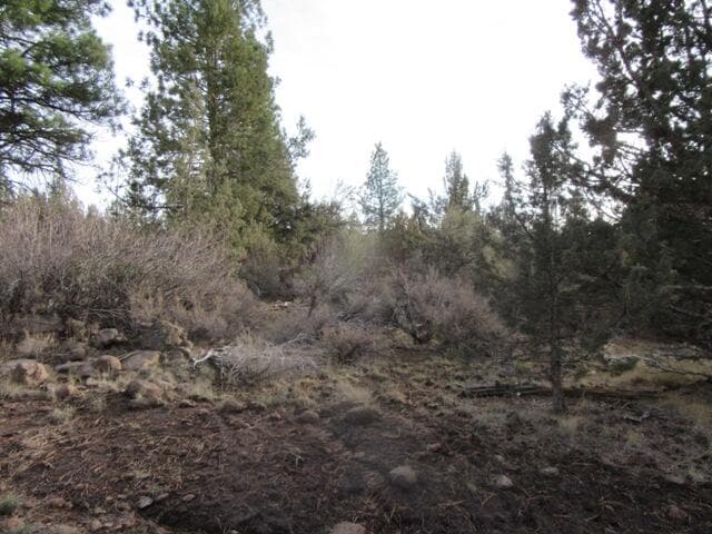 004. Photo 3 of 7, 0 Polar Bear Lane Unit Lot 3, Bonanza, OR 97623