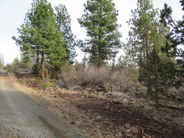 003. Photo 4 of 7, 0 Polar Bear Lane Unit Lot 3, Bonanza, OR 97623