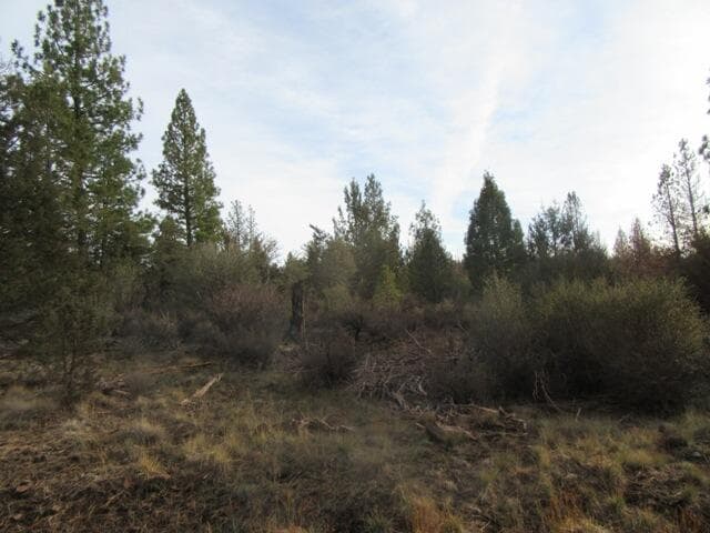 002. Photo 5 of 7, 0 Polar Bear Lane Unit Lot 3, Bonanza, OR 97623