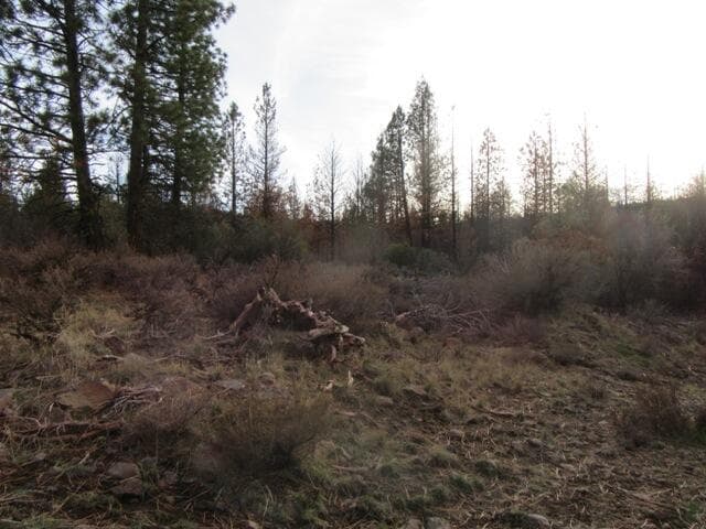 015. Photo 3 of 8, 0 Polar Bear Lane Unit Lot 4, Bonanza, OR 97623