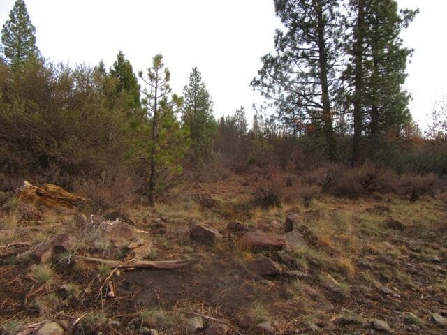 013. Photo 4 of 8, 0 Polar Bear Lane Unit Lot 4, Bonanza, OR 97623