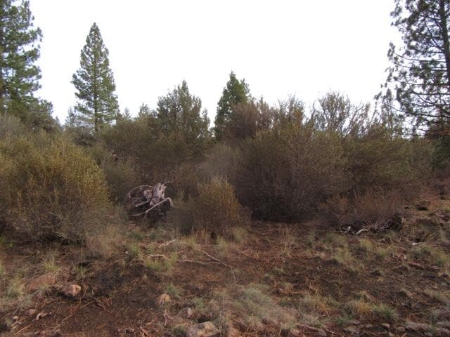 012. Photo 5 of 8, 0 Polar Bear Lane Unit Lot 4, Bonanza, OR 97623