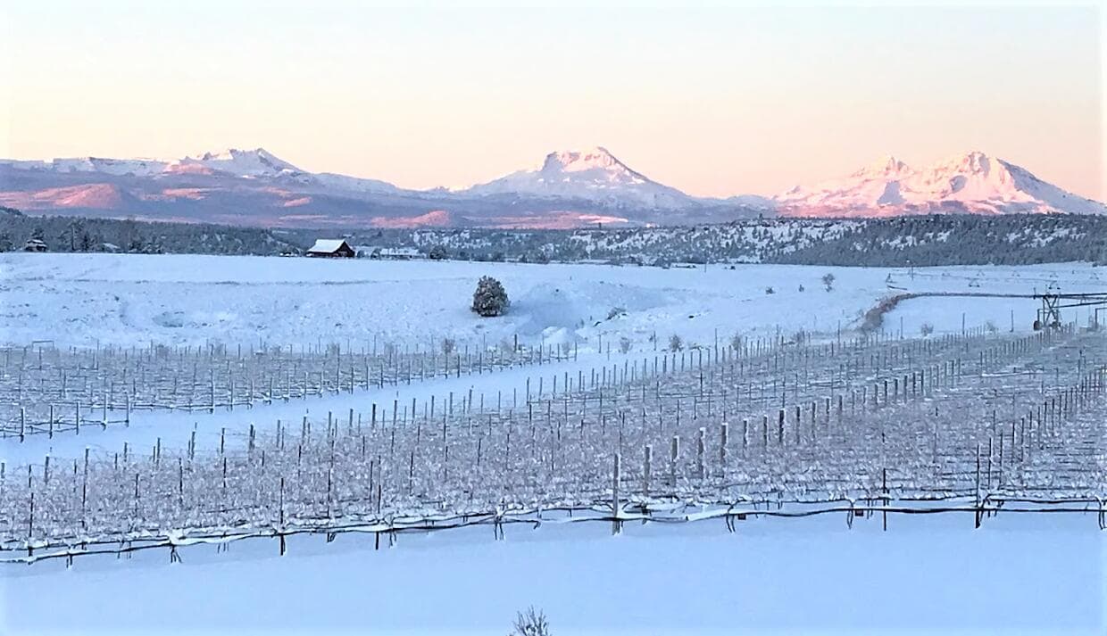 FHC grapes snow. Photo 1 of 18, 69900 NW Lower Valley Drive, Terrebonne, OR 97760