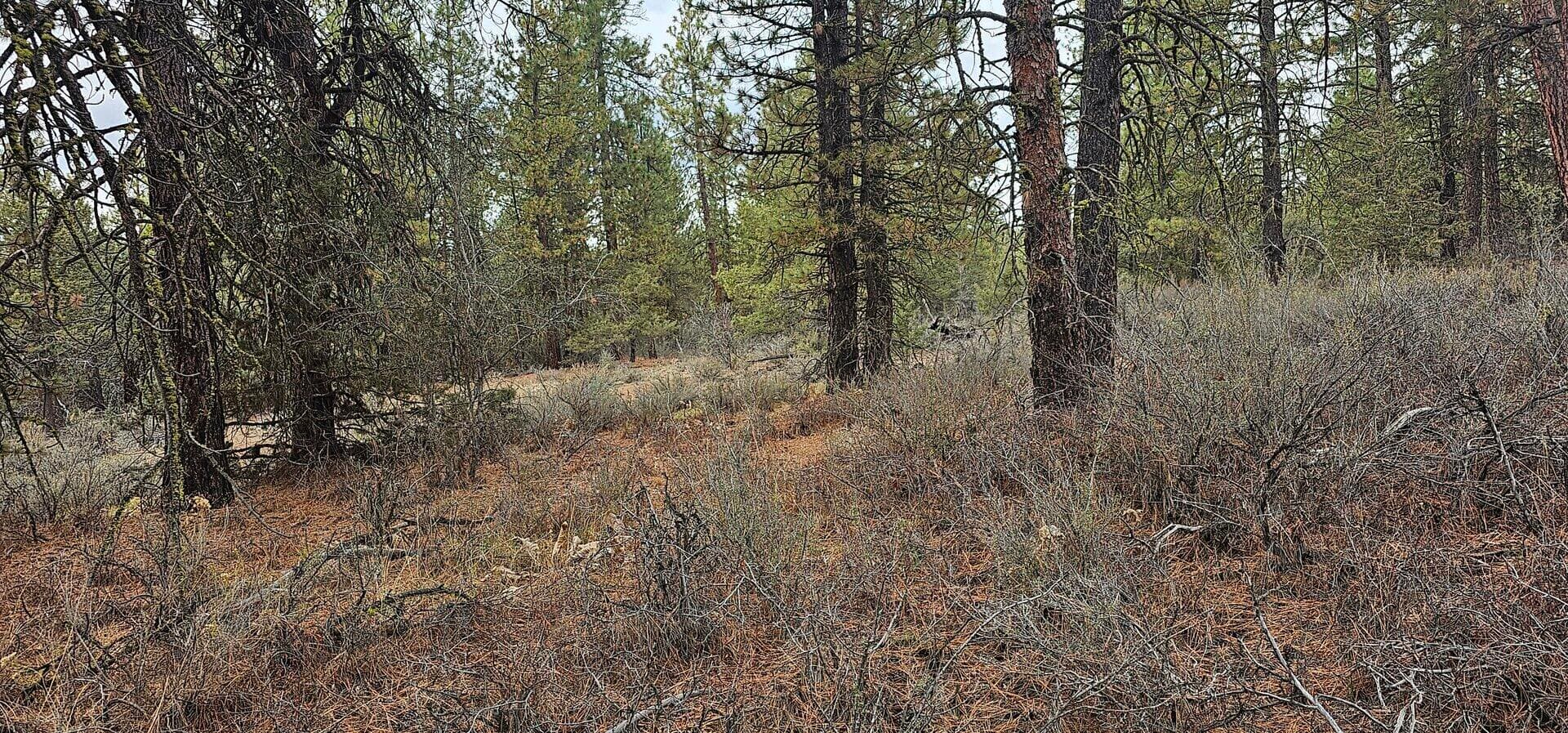 20231105_134540. Photo 5 of 9, Grizzly Lane Unit 3711-036C0-05800, Bonanza, OR 97623