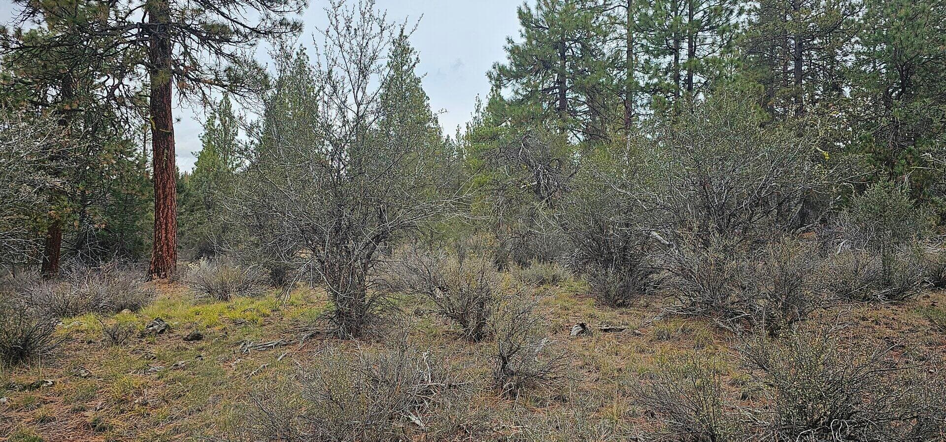 20231105_134821. Photo 2 of 9, Grizzly Lane Unit 3711-036C0-05800, Bonanza, OR 97623