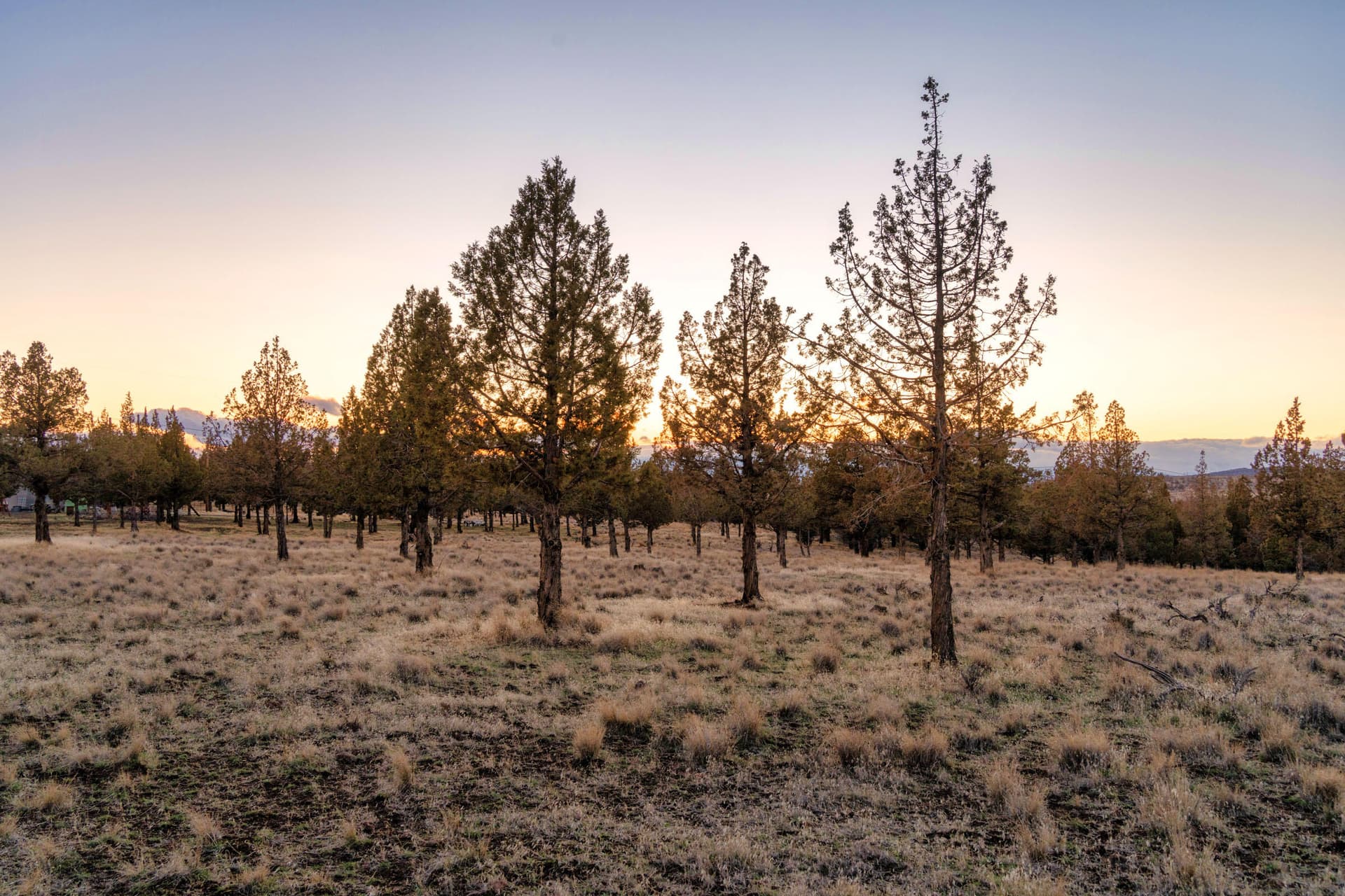 101_NW Panorama_Pro Property Photos_Bend. Photo 4 of 26, NW Panorama View, Prineville, OR 97754