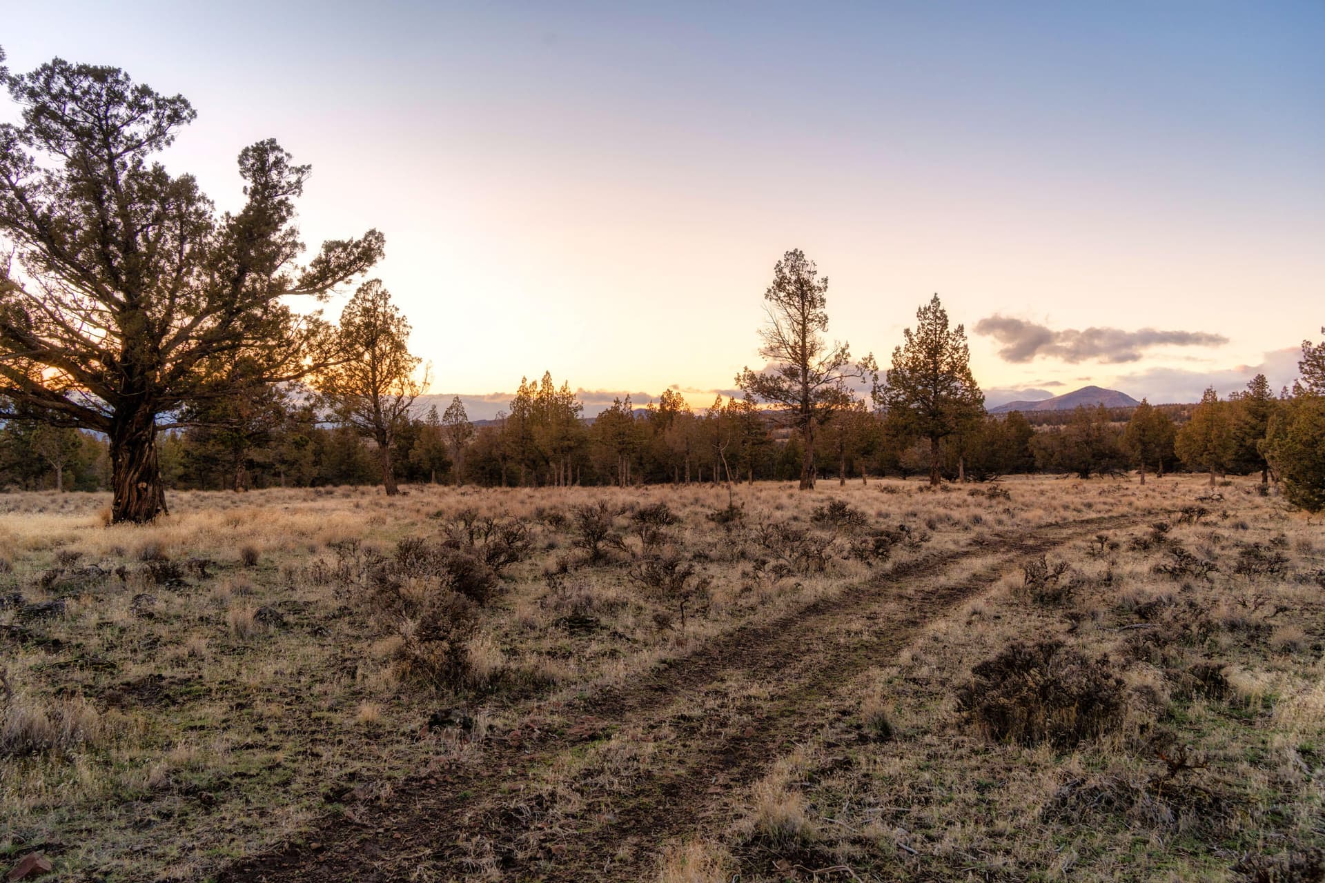 102_NW Panorama_Pro Property Photos_Bend. Photo 5 of 26, NW Panorama View, Prineville, OR 97754