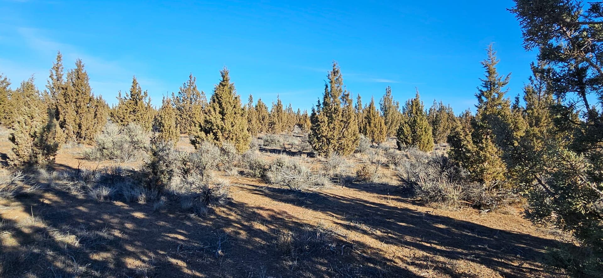 image1. Photo 2 of 9, S Bend Way Unit TL3200, Prineville, OR 97754