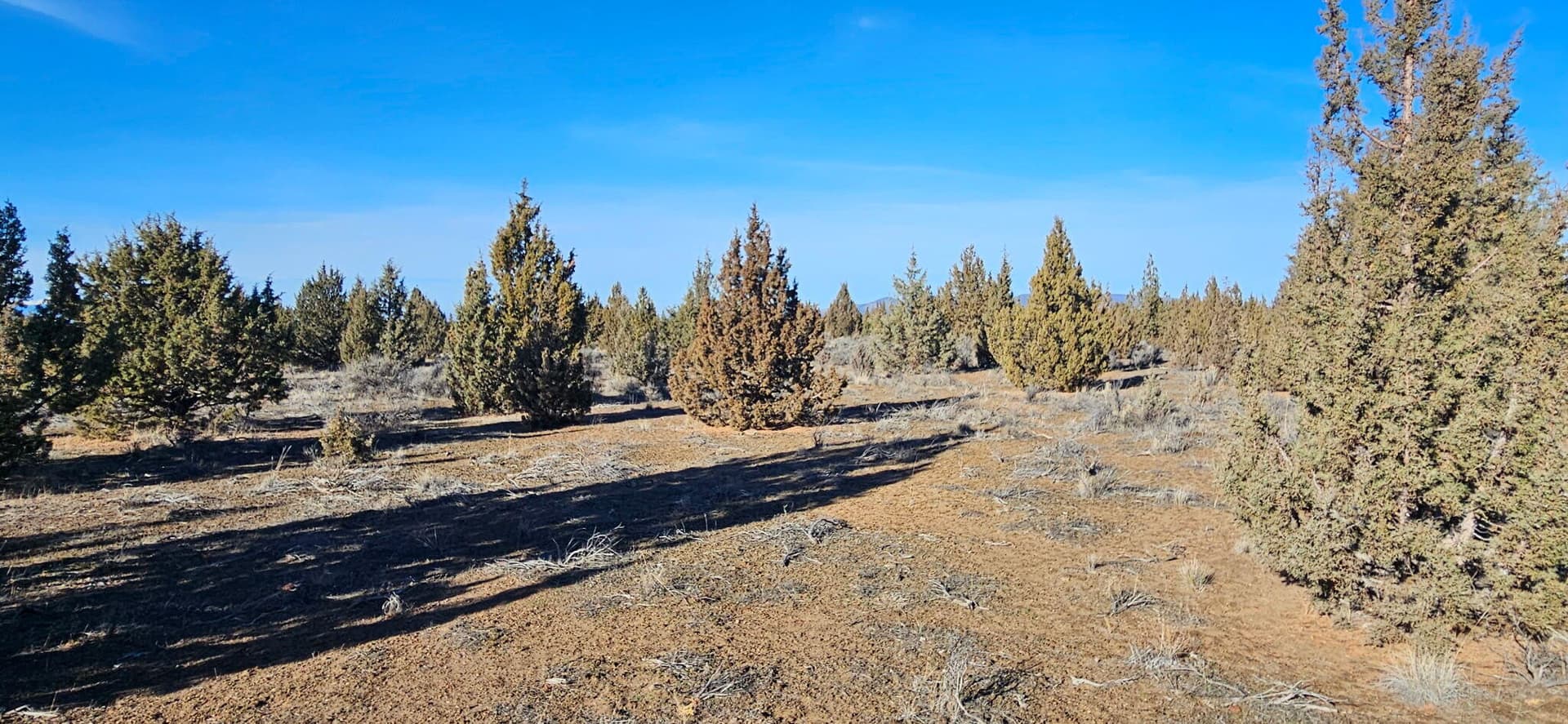 image2. Photo 1 of 9, S Bend Way Unit TL3200, Prineville, OR 97754