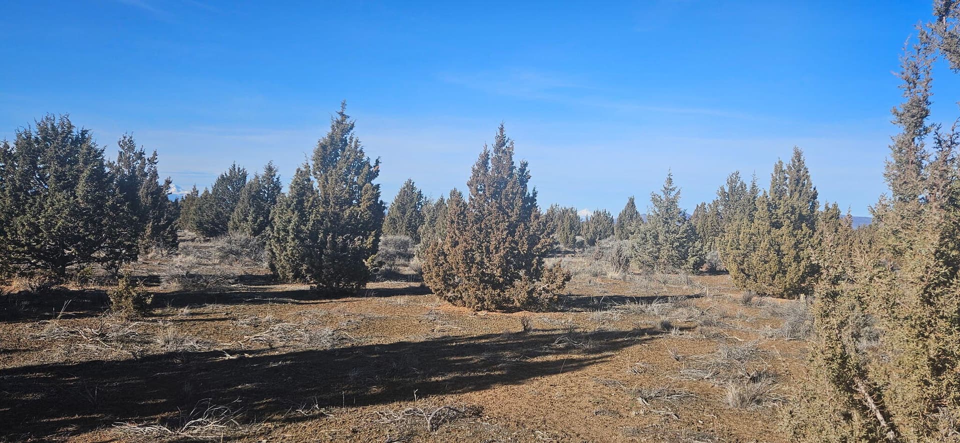 image3. Photo 3 of 9, S Bend Way Unit TL3200, Prineville, OR 97754