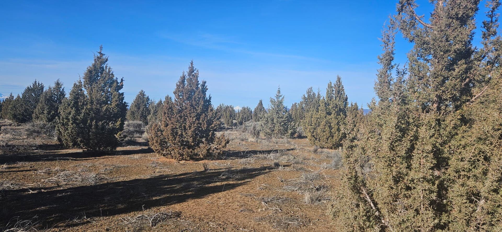 image4. Photo 4 of 9, S Bend Way Unit TL3200, Prineville, OR 97754
