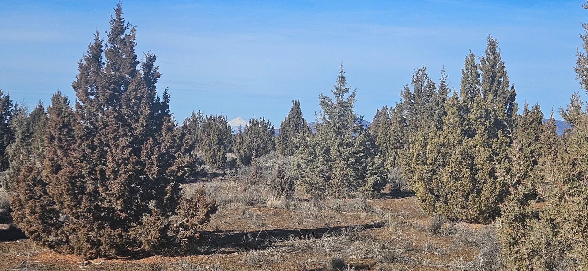 image5. Photo 5 of 9, S Bend Way Unit TL3200, Prineville, OR 97754