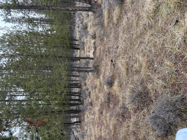 IMG_1343. Photo 3 of 20, Sun Forest Drive, La Pine, OR 97739