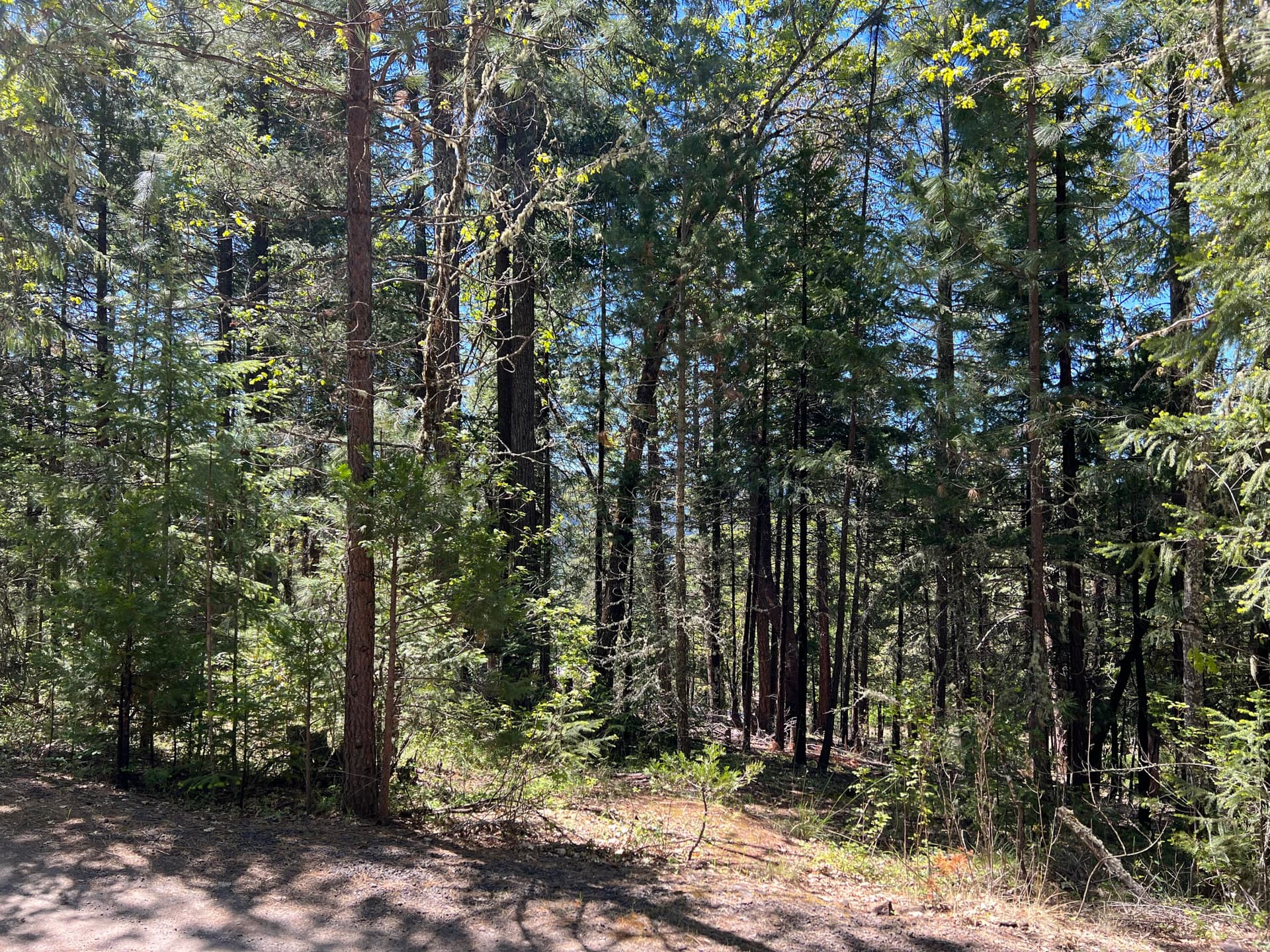IMG_2301. Photo 2 of 12, 00347 Flounce Rock Rd, Prospect, OR 97536