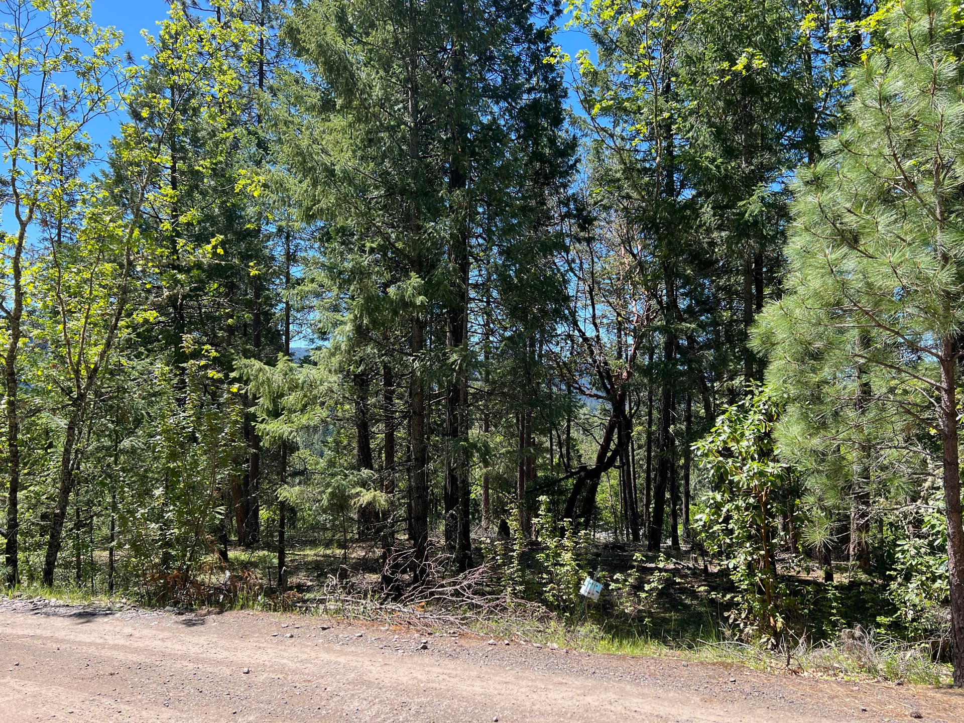 IMG_2287. Photo 2 of 12, 00348 Flounce Rock Road, Prospect, OR 97536