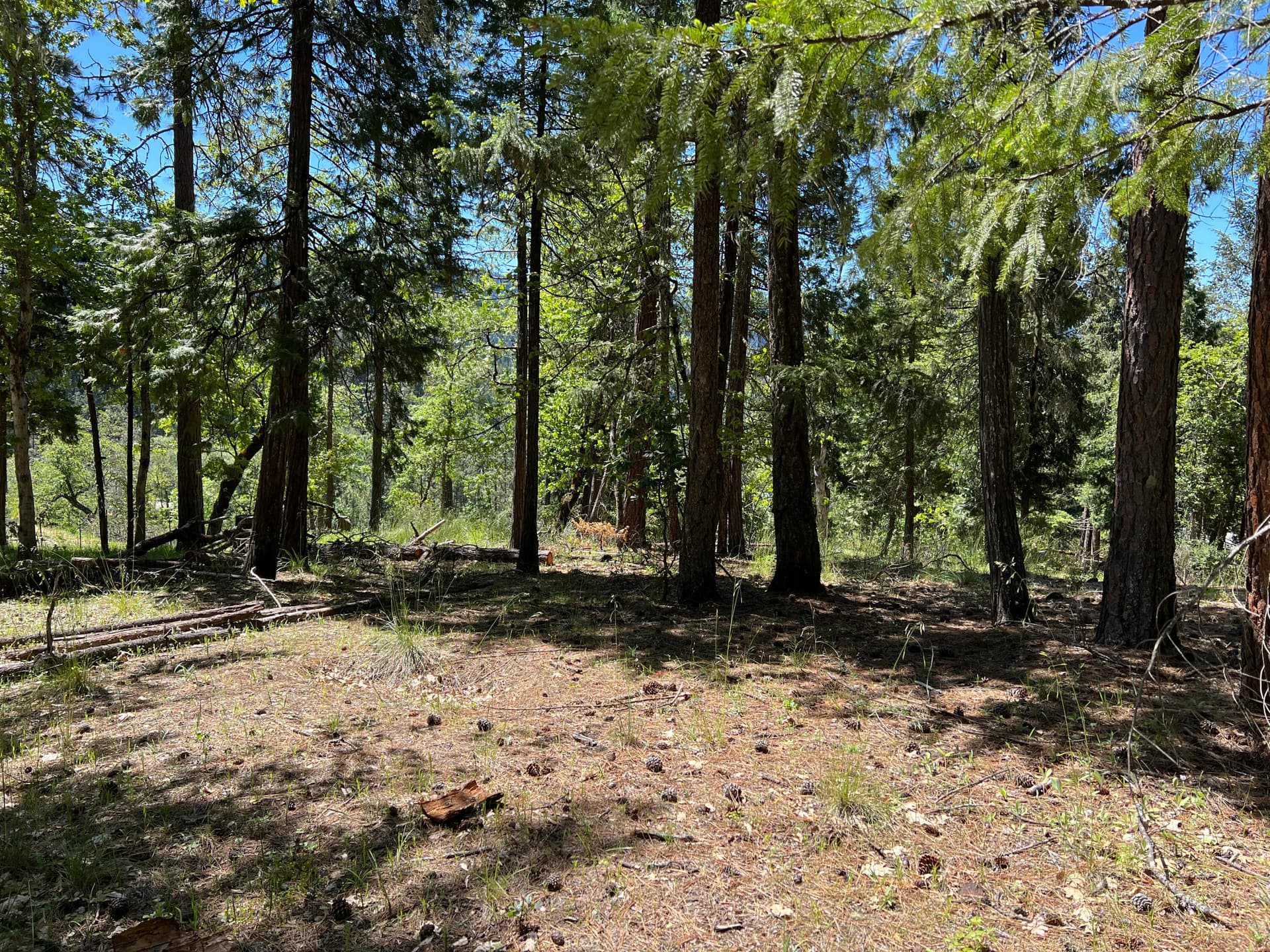 IMG_2289. Photo 4 of 12, 00348 Flounce Rock Road, Prospect, OR 97536