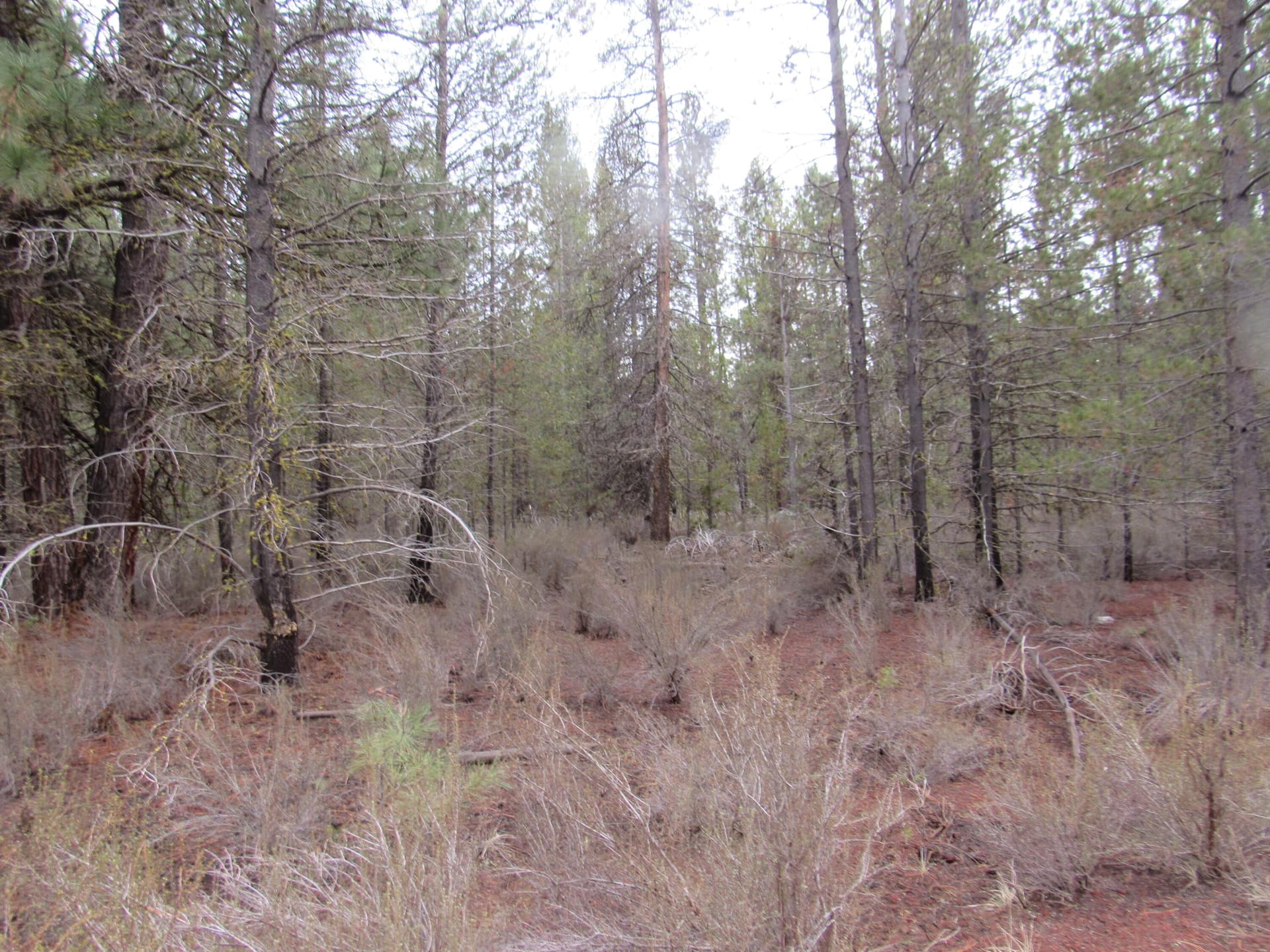 IMG_0466. Photo 1 of 6,  Unit 5, Chiloquin, OR 97624