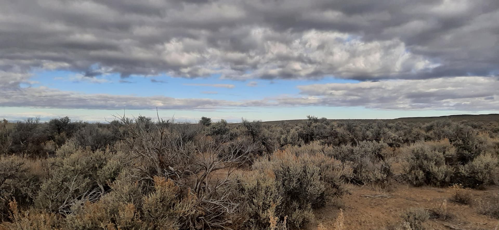 South facing. Photo 1 of 11, Christmas Valley Wagontire Hwy Unit 07700, Christmas Valley, OR 97641