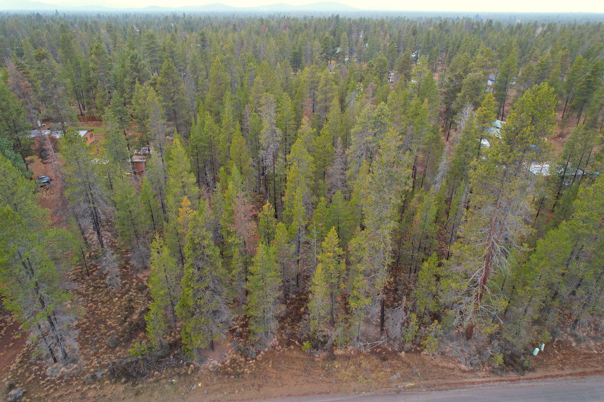 dji_fly_20251205_093046_644_176522627800. Photo 5 of 8, 52615 Railroad Street, La Pine, OR 97739