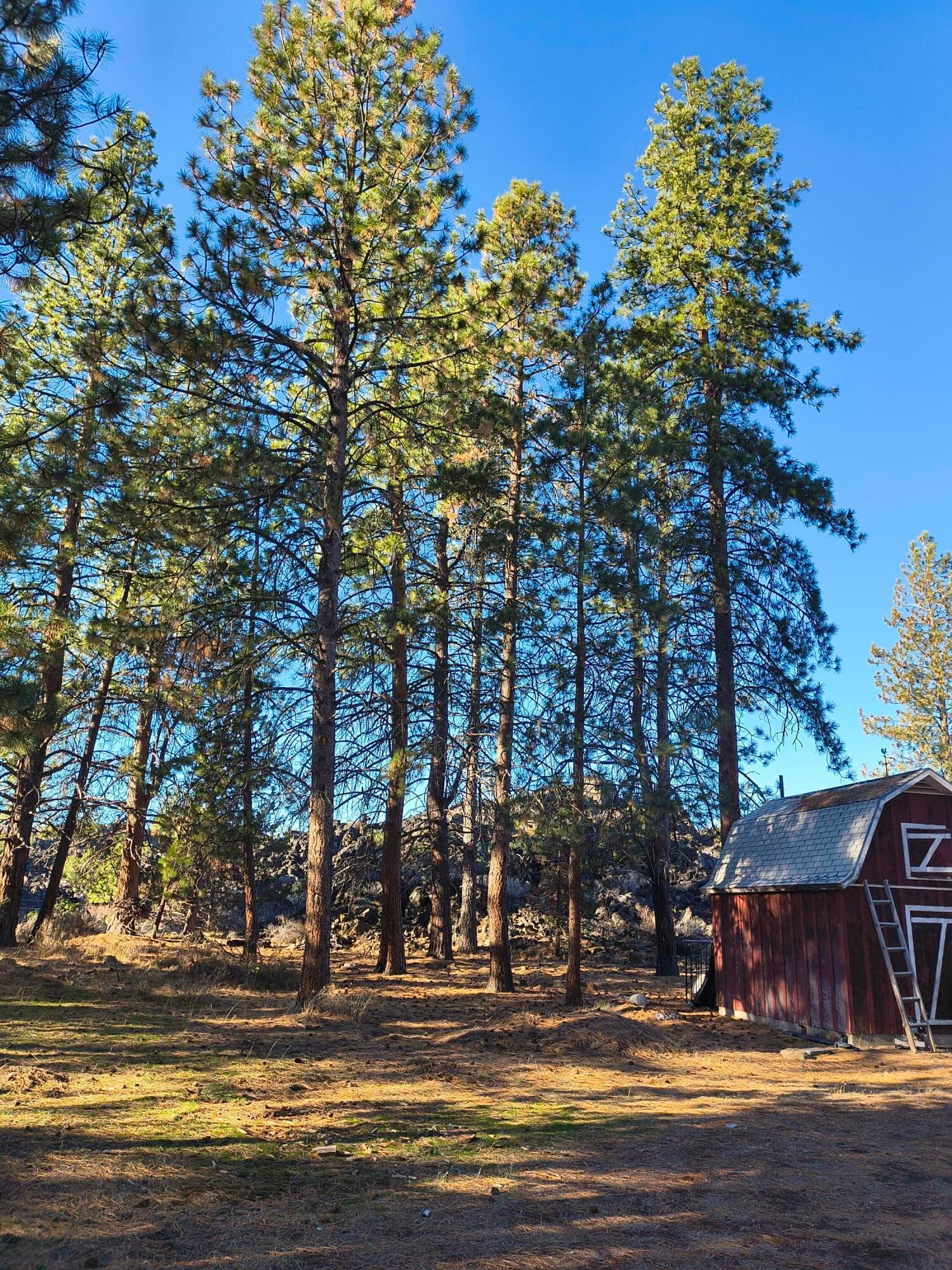 IMG_20251213_111656752_HDR. Photo 2 of 12, 60193 Turquoise Road, Bend, OR 97702