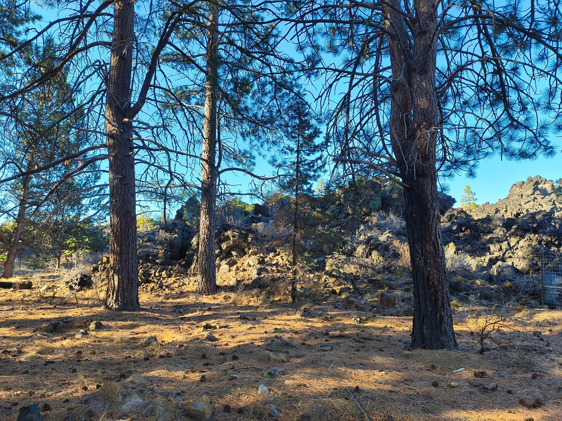 IMG_20251213_111552177_HDR. Photo 5 of 12, 60193 Turquoise Road, Bend, OR 97702