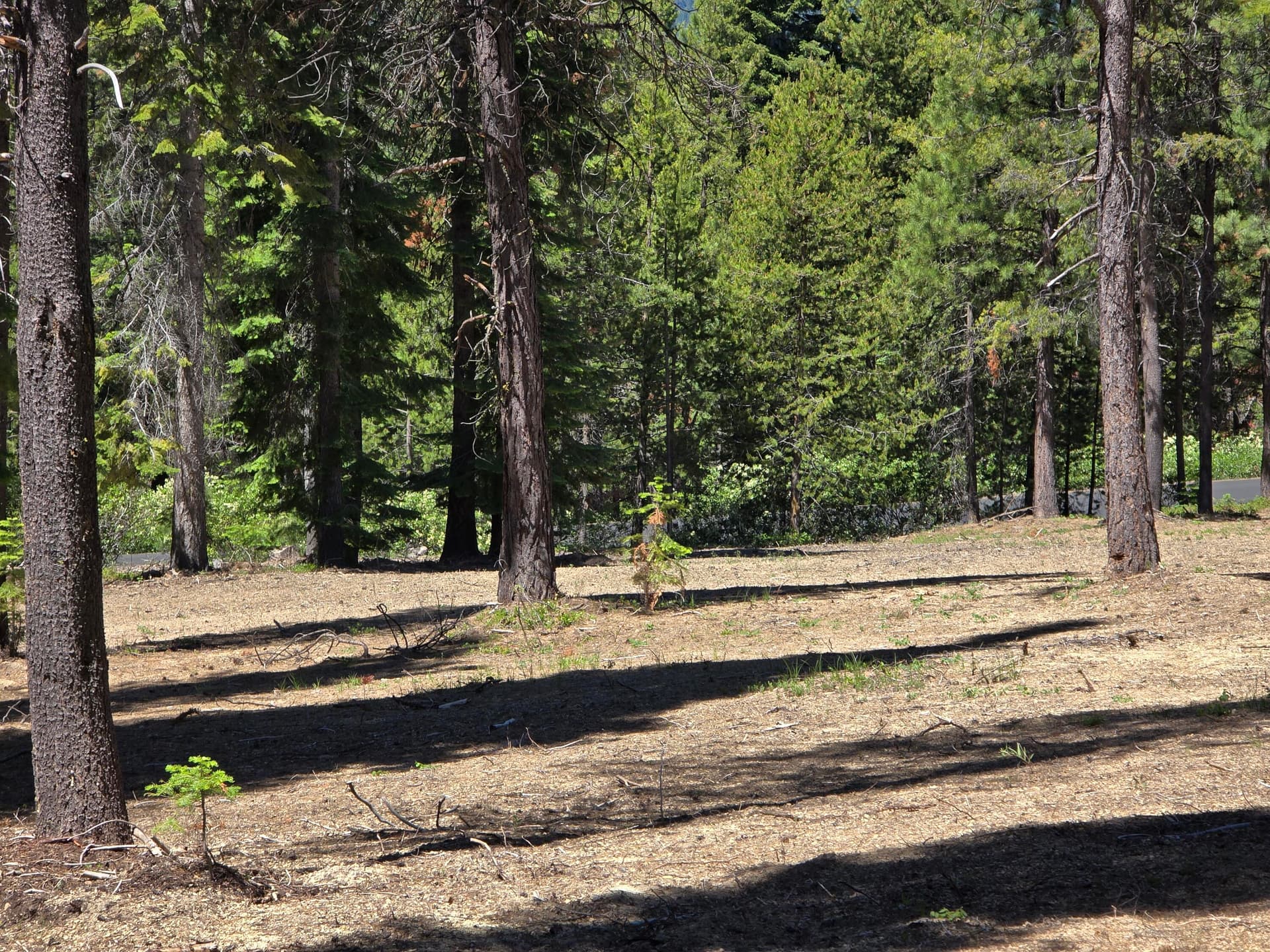 3. Photo 5 of 20, 19 Elk Haven Way, Crescent Lake, OR 97733