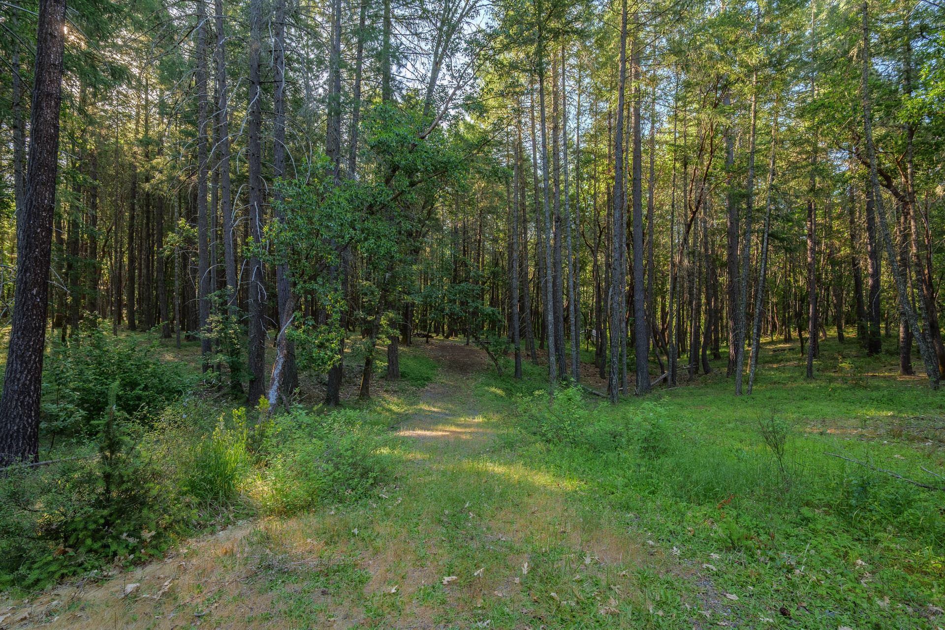 355FirviewLn-001. Photo 4 of 12, 355 Firview Lane, Wilderville, OR 97543
