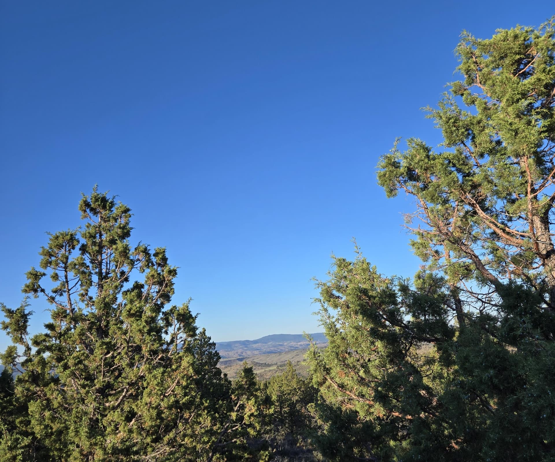 20250711_193918. Photo 4 of 20, 20102 Osprey Road Unit 800, Prineville, OR 97754