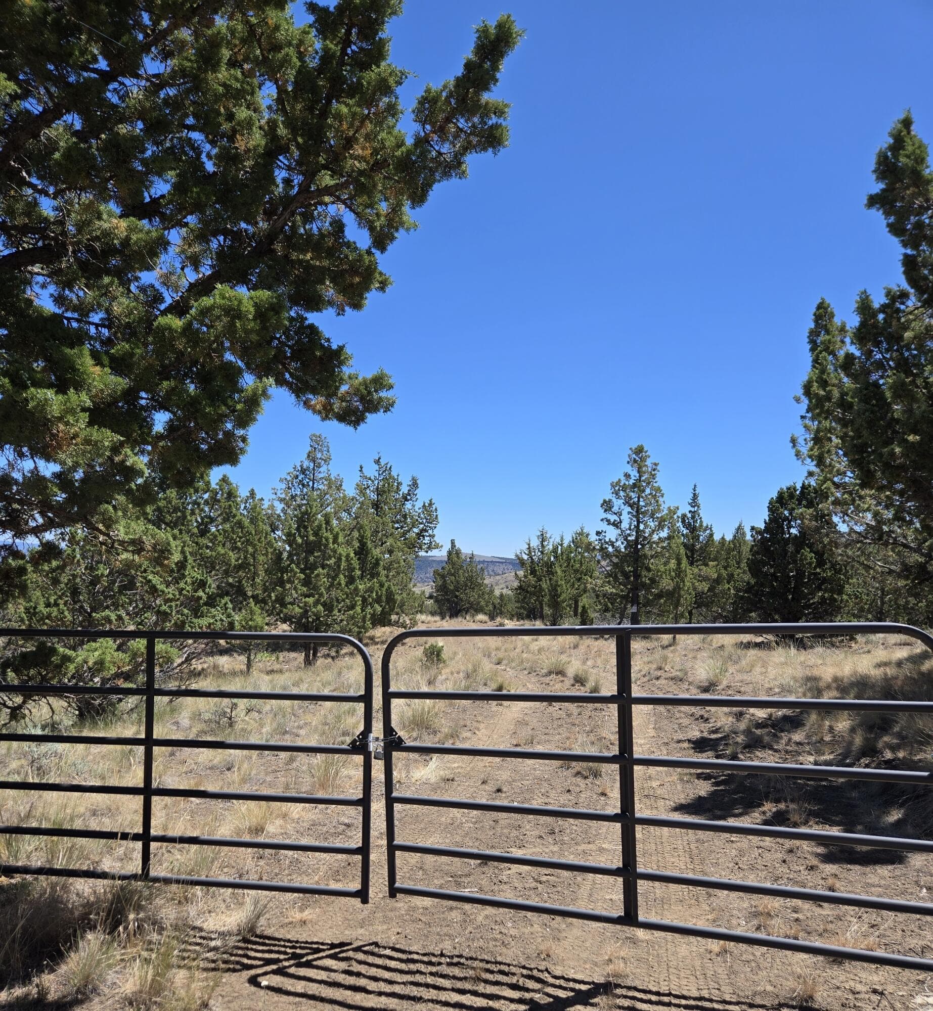 20250712_120521. Photo 2 of 20, 20102 Osprey Road Unit 800, Prineville, OR 97754