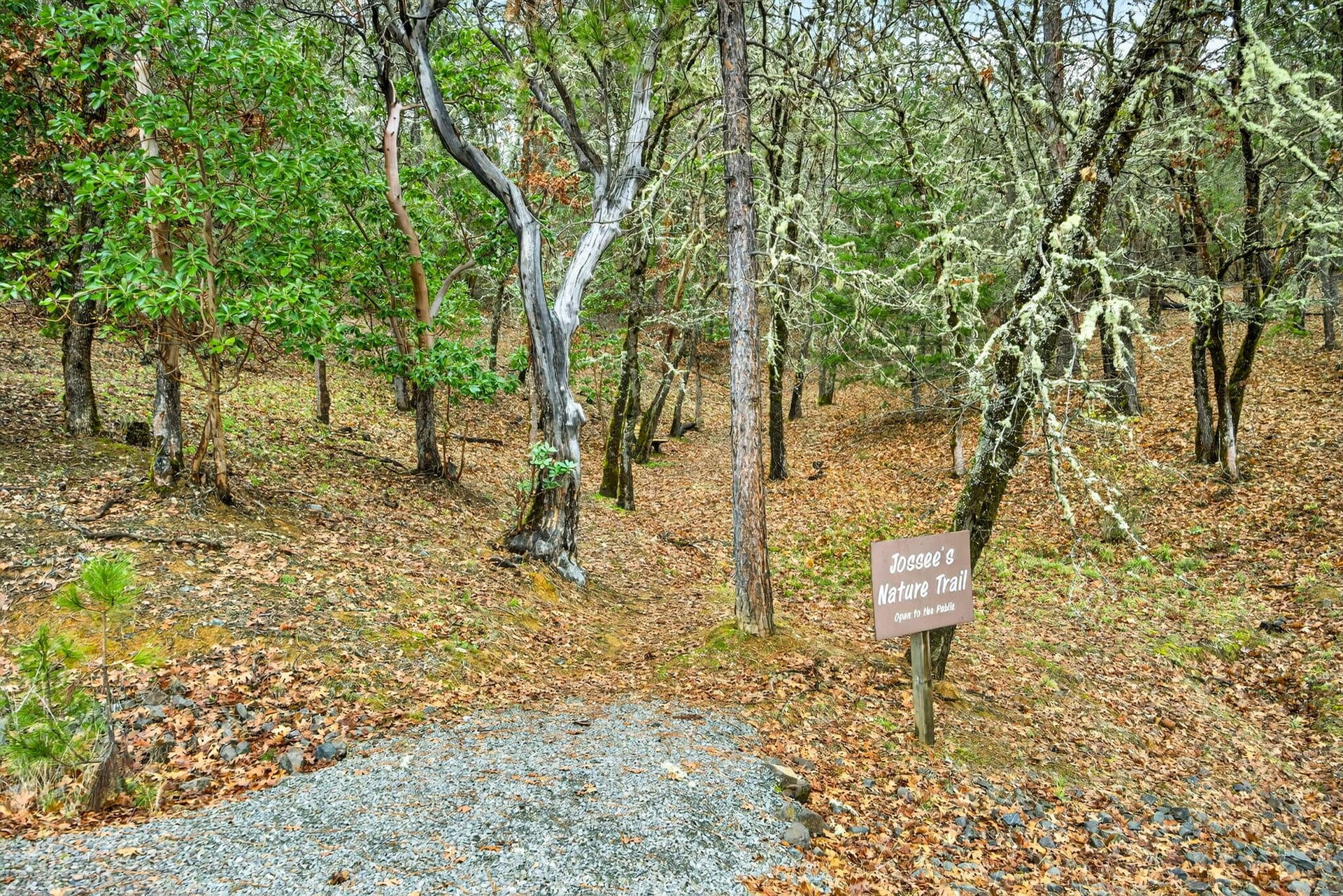 all 3 lots (2). Photo 5 of 9, 425 Josephines Way, Jacksonville, OR 97530