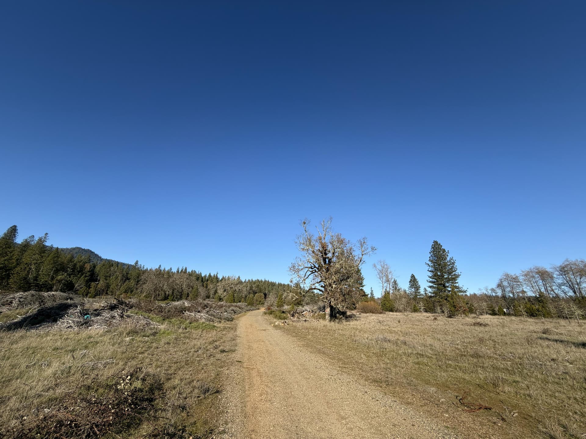 Interior Rd 1. Photo 3 of 29, 150 Illinois River Road, Selma, OR 97538