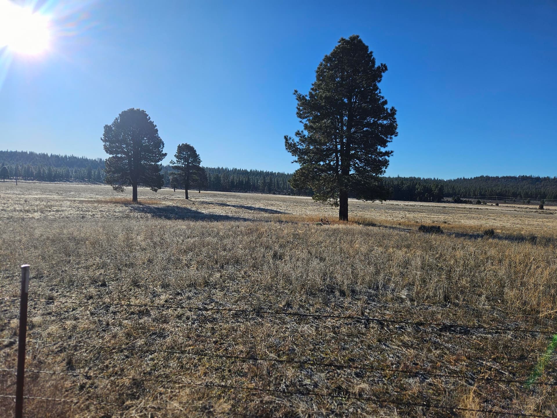 Lot. Photo 1 of 23, 31747 Godowa Springs Road, Beatty, OR 97621