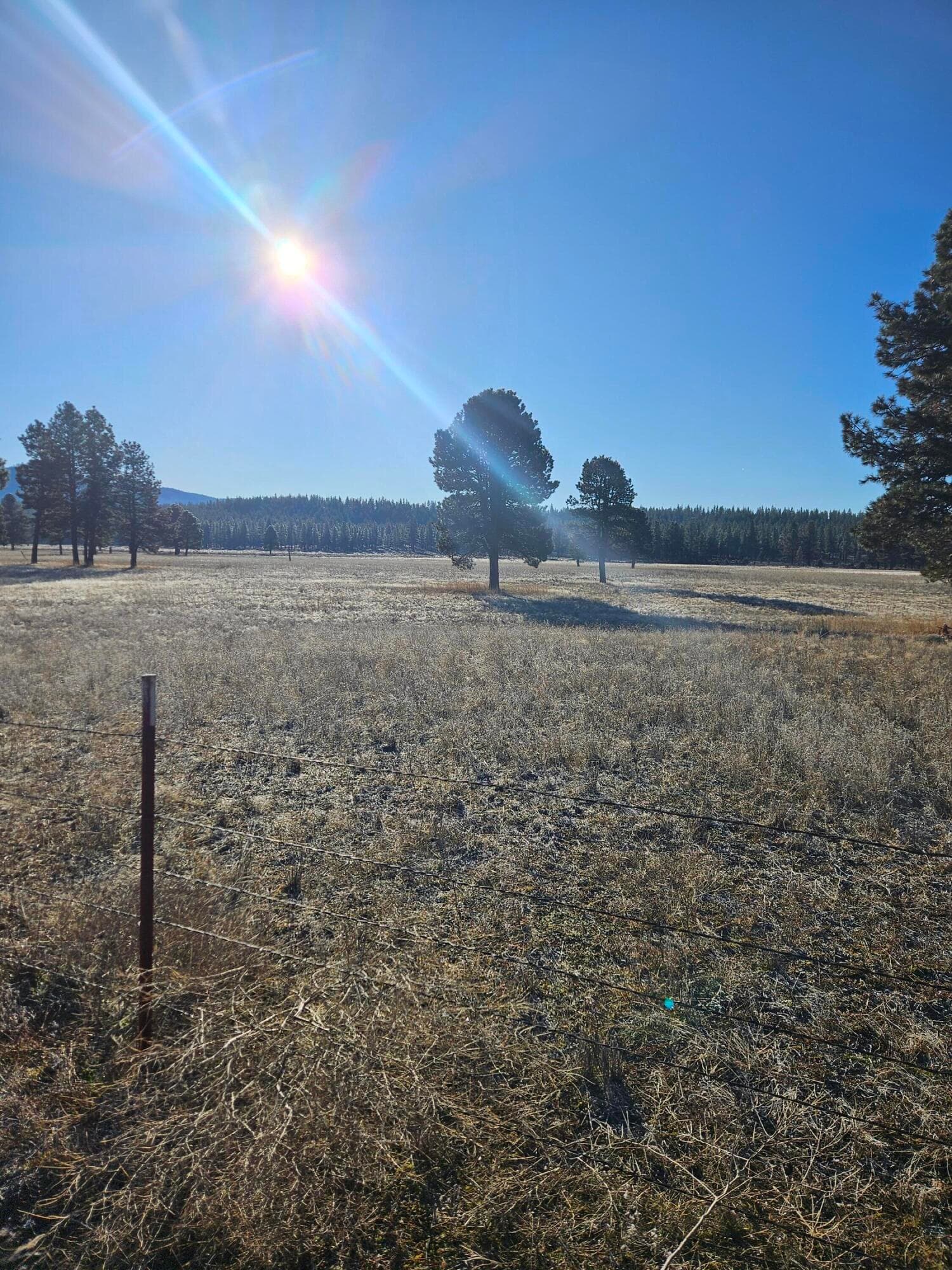 20260117_093748. Photo 5 of 23, 31747 Godowa Springs Road, Beatty, OR 97621