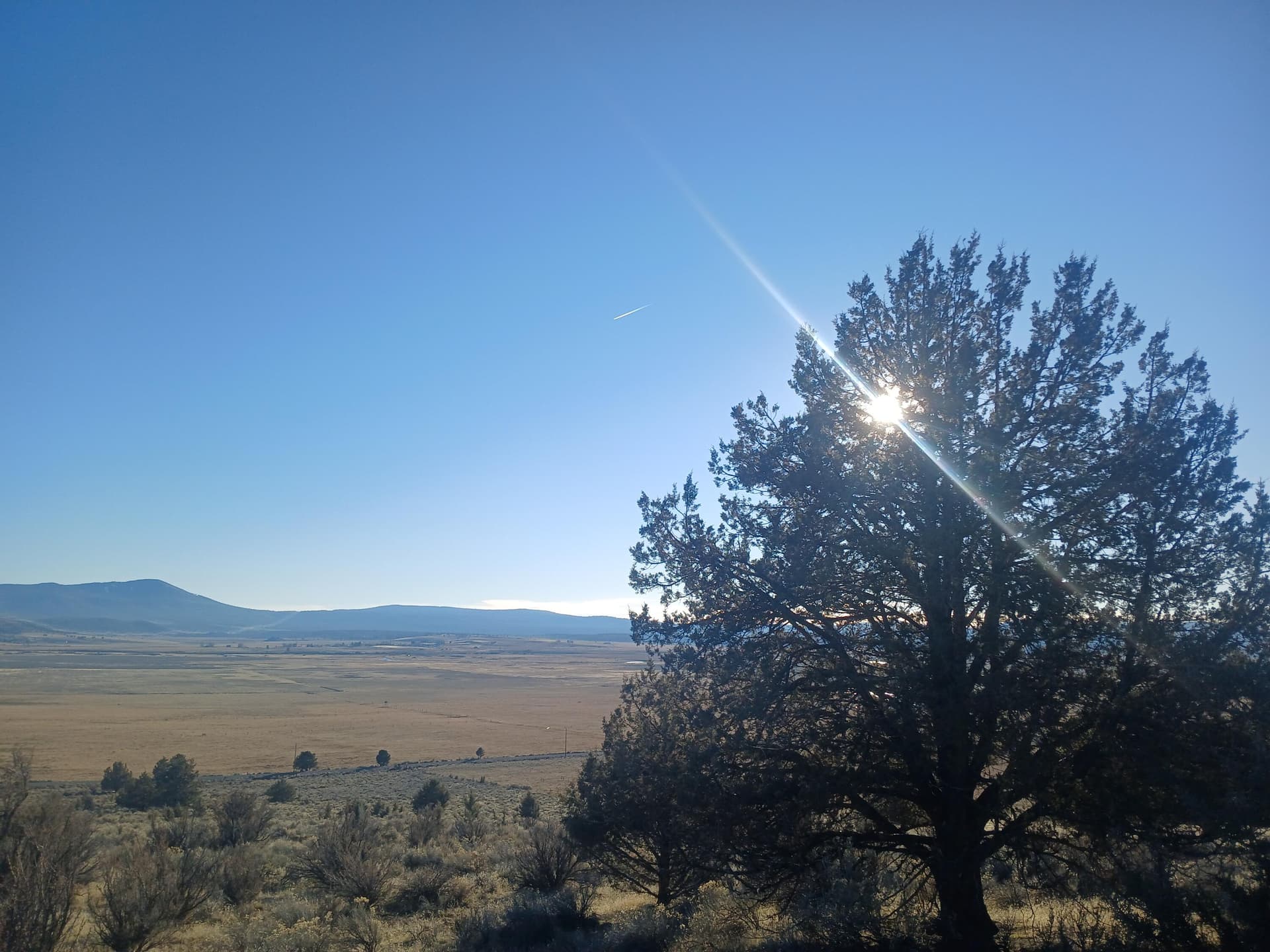 20260117_152653. Photo 4 of 15, 0 Valley View Drive Unit Lot# 10, Beatty, OR 97621