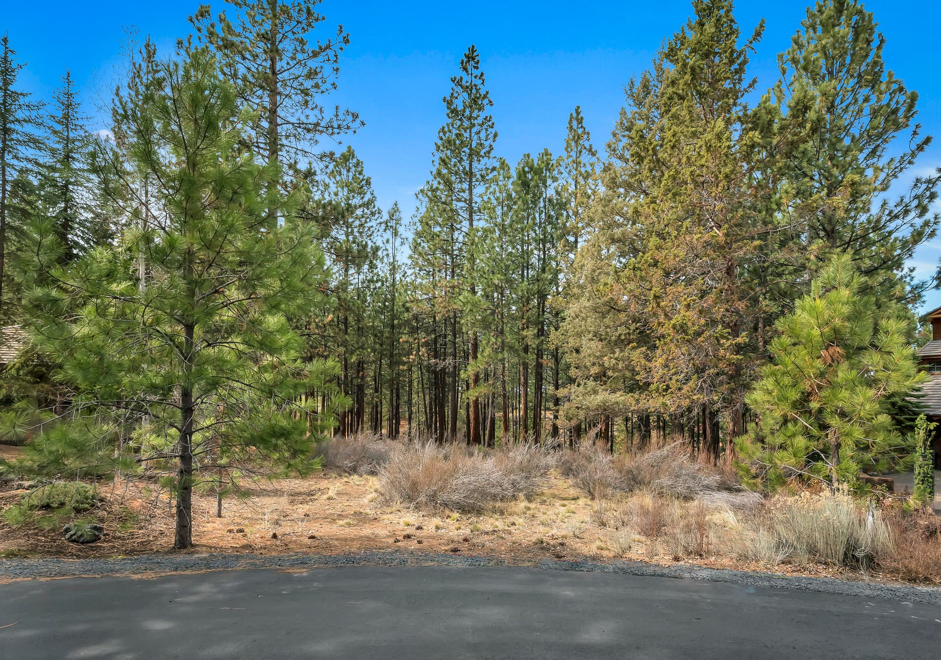 OReilly_20180406_1_9_8x12. Photo 1 of 14, 19374 Rim Lake Court, Bend, OR 97702