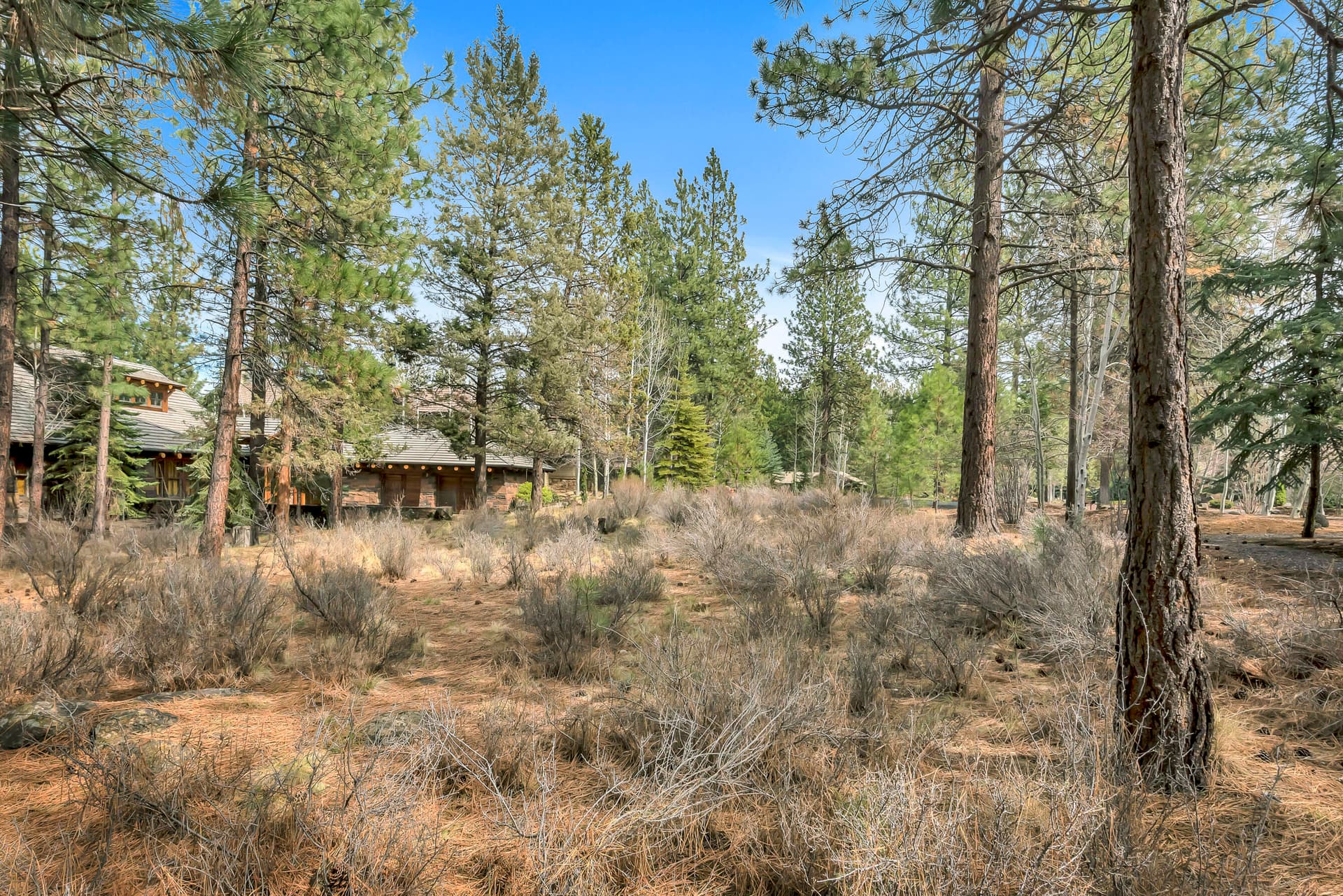 OReilly_20180406_2_6_8x12. Photo 2 of 14, 19374 Rim Lake Court, Bend, OR 97702