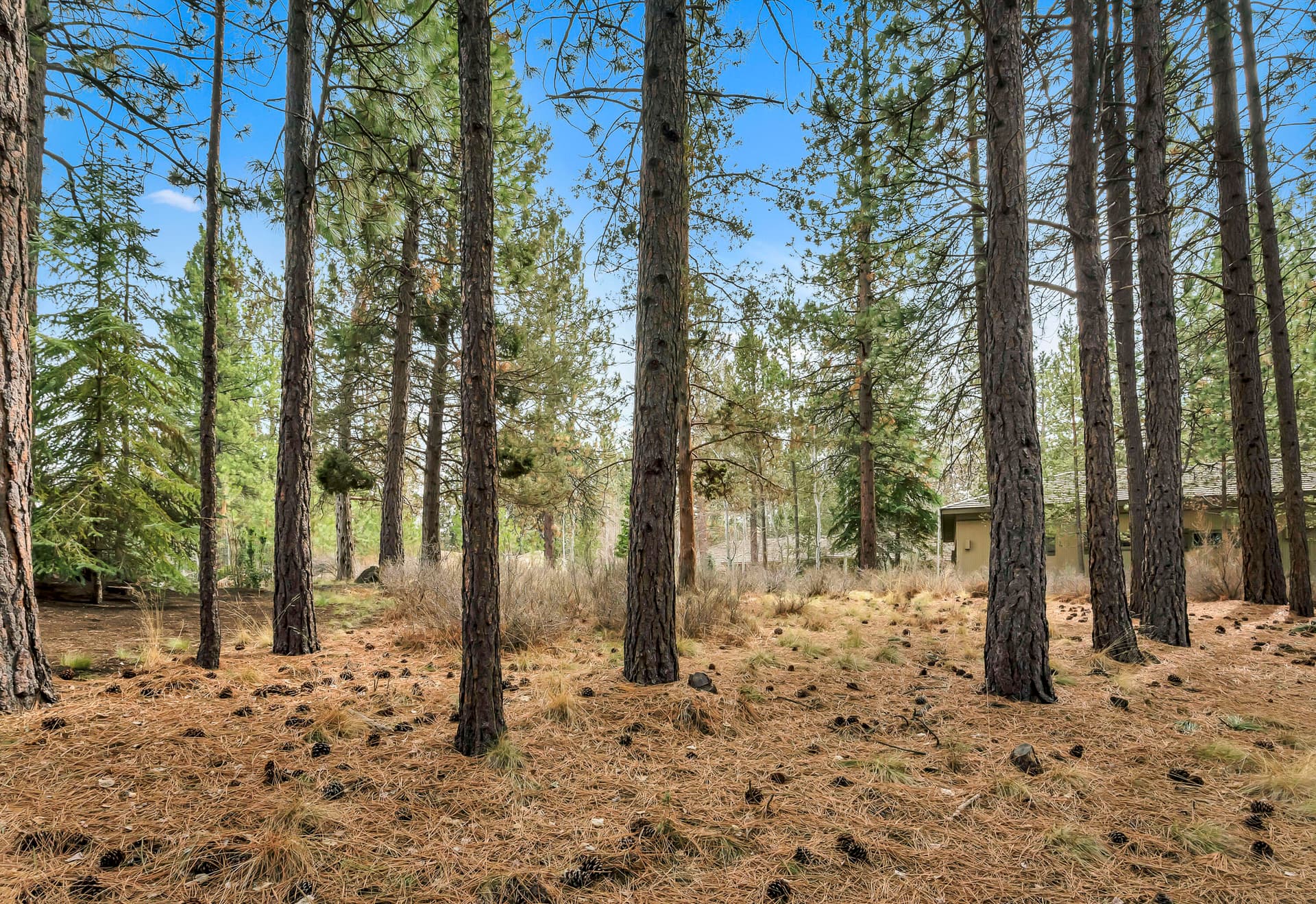 OReilly_20180406_3_8_8x12. Photo 3 of 14, 19374 Rim Lake Court, Bend, OR 97702