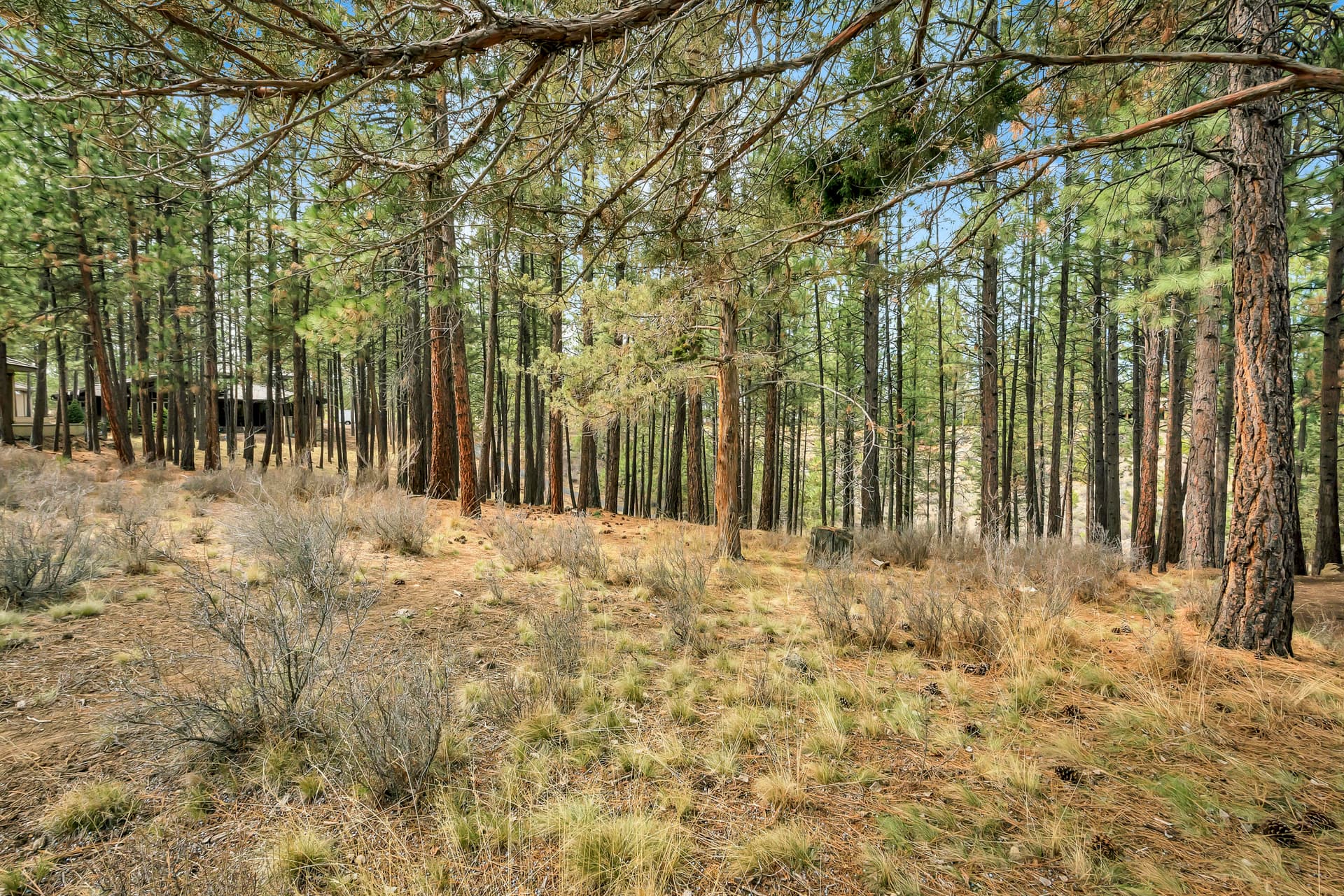 OReilly_20180406_5_502_8x12. Photo 5 of 14, 19374 Rim Lake Court, Bend, OR 97702