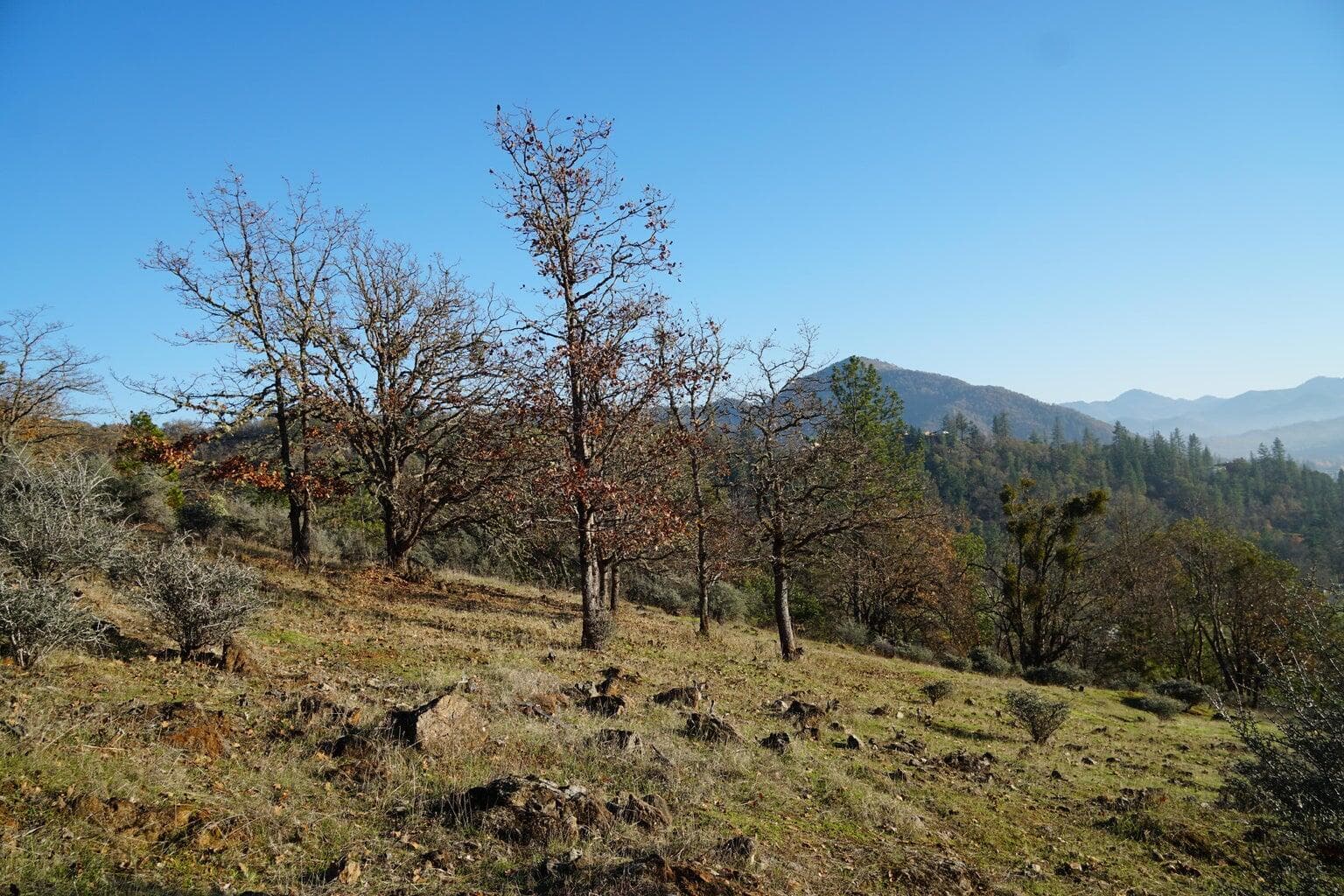 property. Photo 1 of 1, E Evans Cr Road Unit 1200, Rogue River, OR 97537