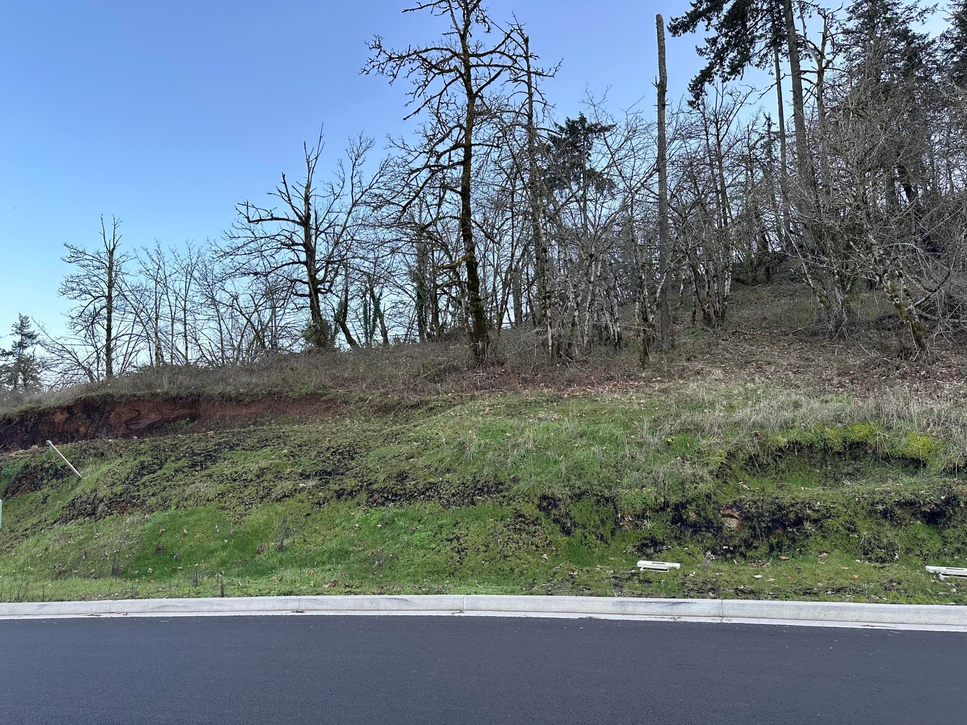 lot face. Photo 1 of 1, Cascara Unit 64, Eugene, OR 97403