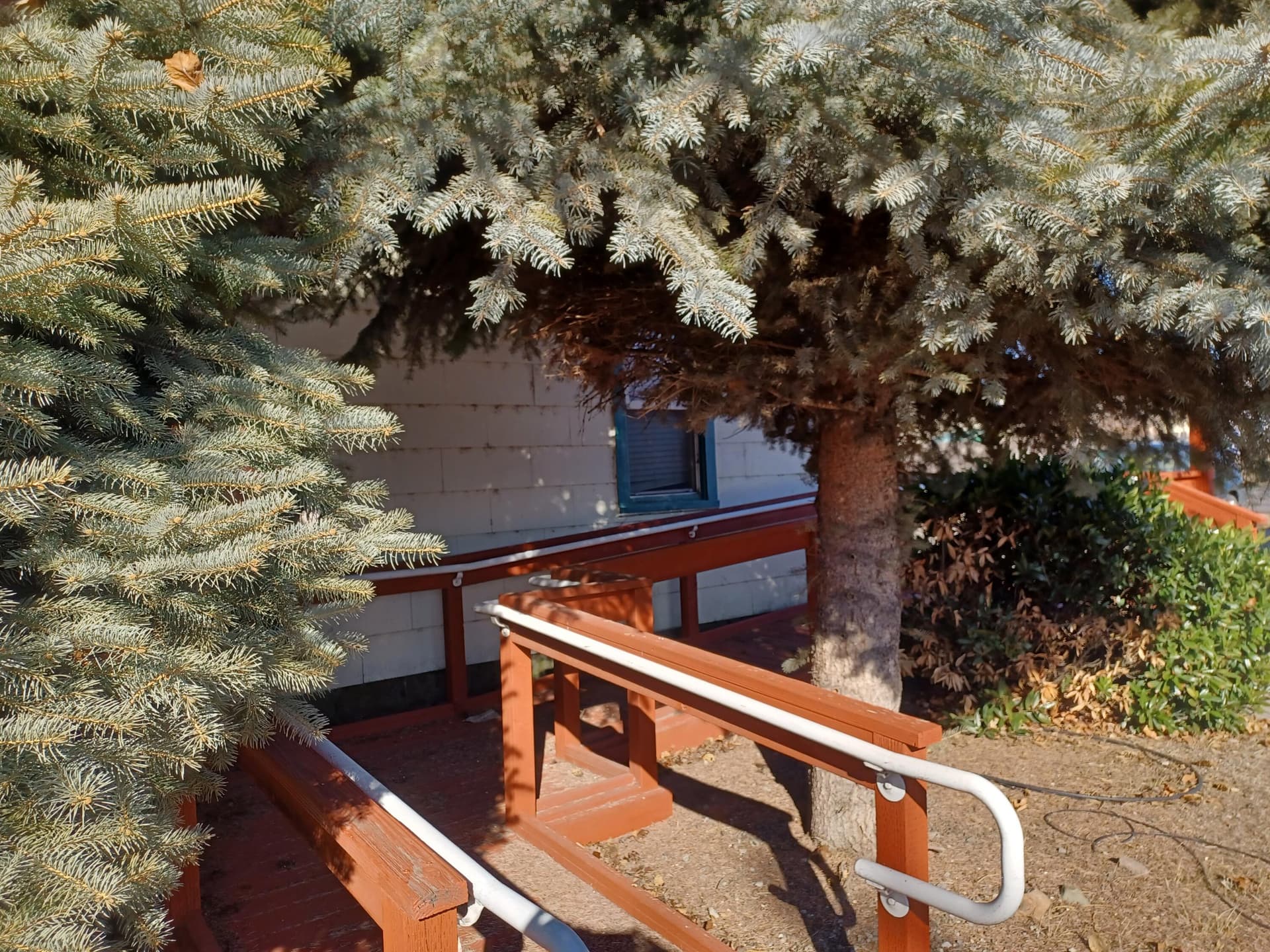 20260124_110820. Photo 4 of 29, 325 S 5th Street, Klamath Falls, OR 97601