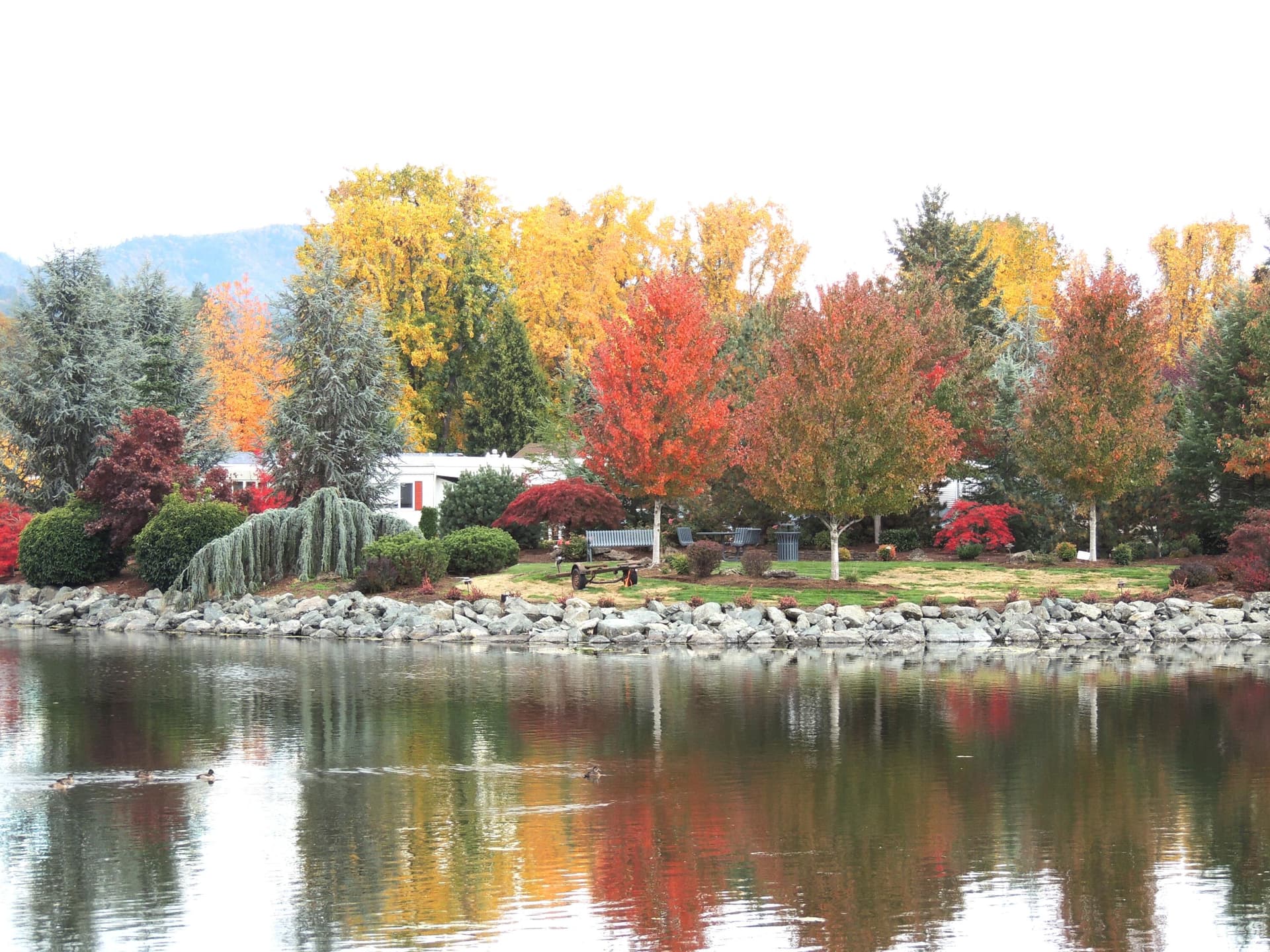 DSCN3589. Photo 2 of 37, 303 Kingsley Drive, Grants Pass, OR 97526