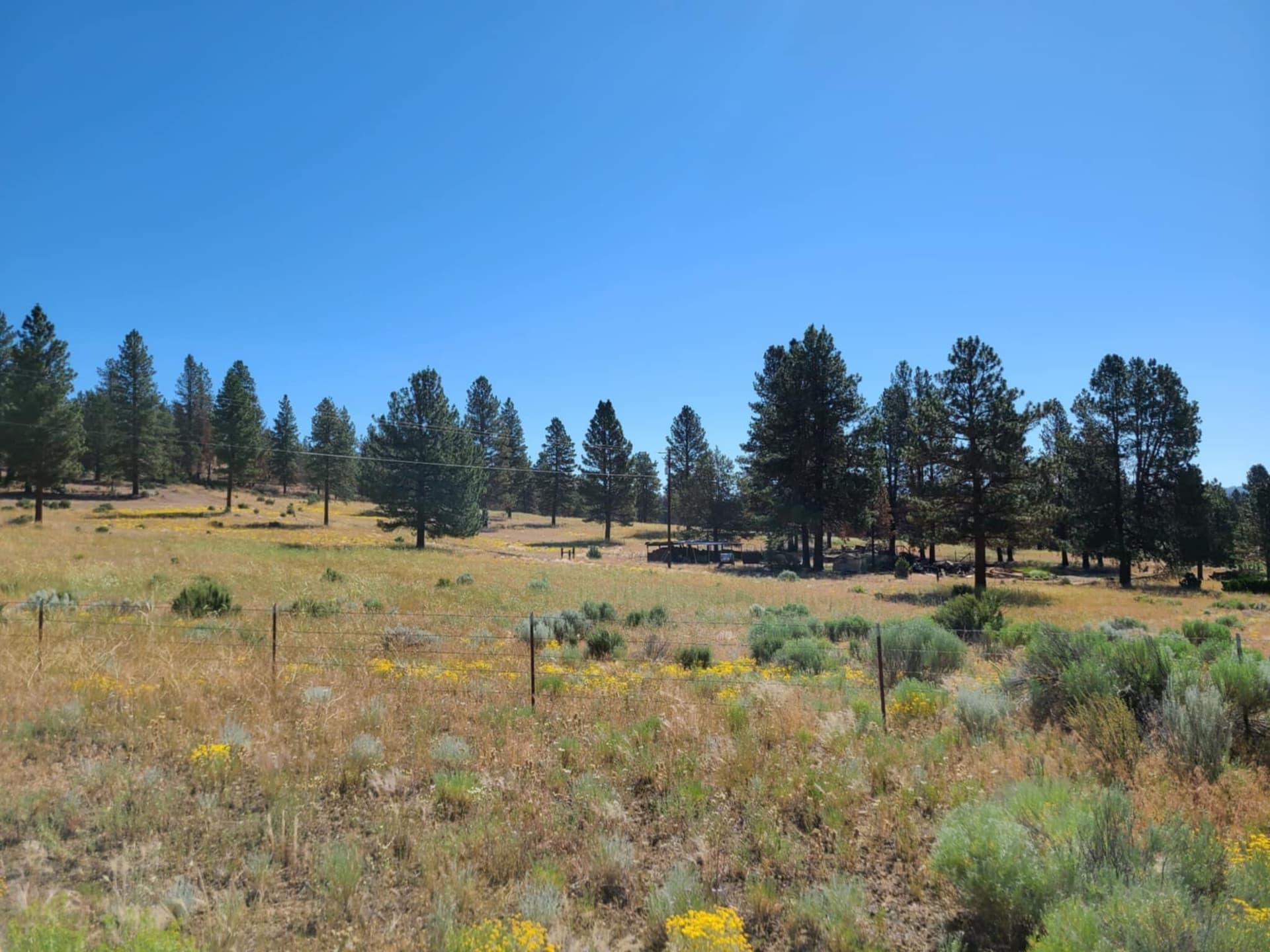 Messenger_creation_7EC8286E-EF78-4318-8D. Photo 3 of 23, 31747 Godowa Springs Road, Beatty, OR 97621