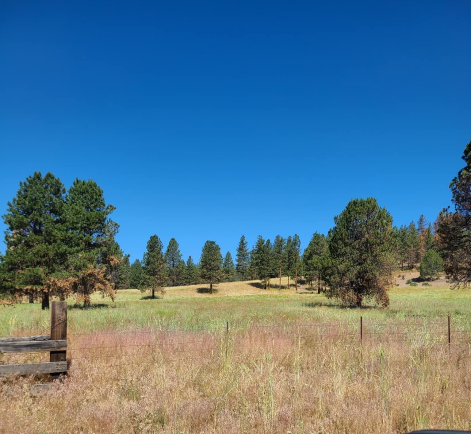 Messenger_creation_4645C5B7-DF15-46E1-9A. Photo 2 of 23, 31747 Godowa Springs Road, Beatty, OR 97621
