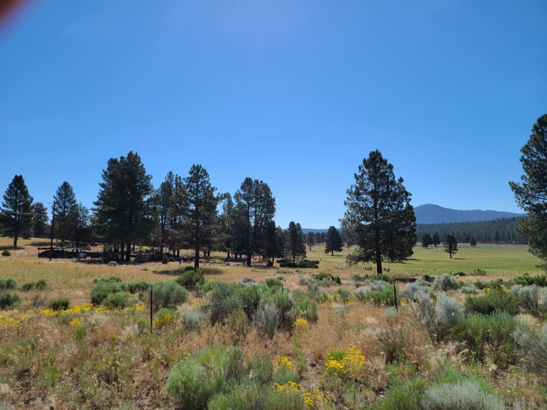 Messenger_creation_61D1E721-EE99-4487-A0. Photo 4 of 23, 31747 Godowa Springs Road, Beatty, OR 97621