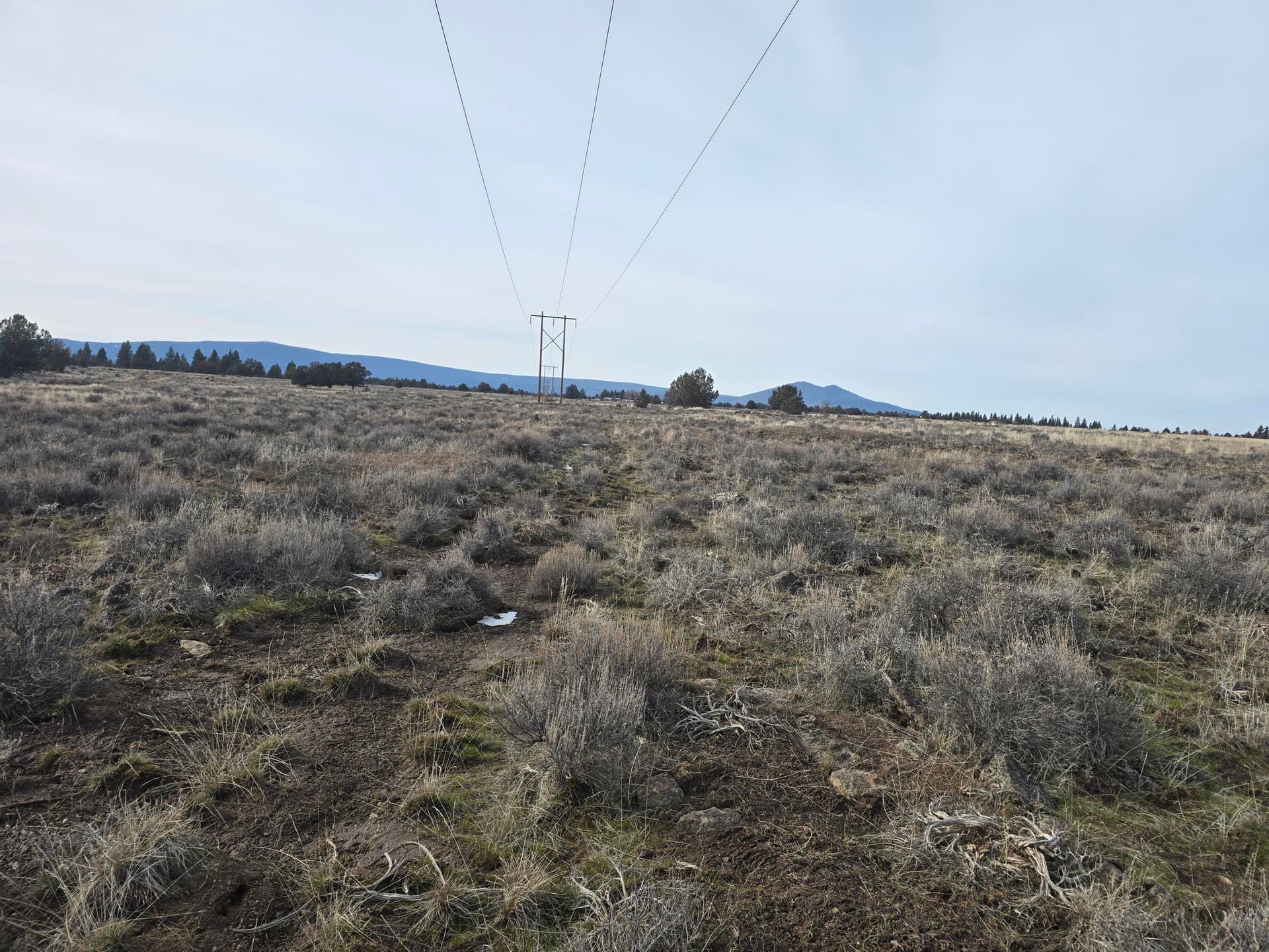 20260125_125704. Photo 3 of 5, 0 Rim Drive Unit 1100, Chiloquin, OR 97624
