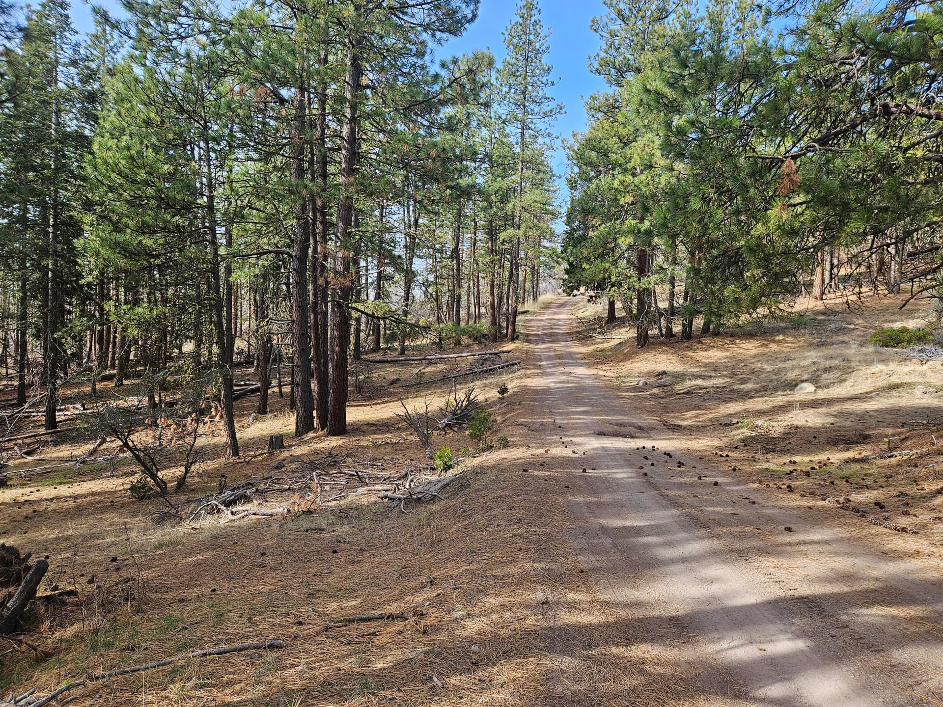 20260131_111419. Photo 3 of 12, 0 Seal Lane Unit 8, Bonanza, OR 97623