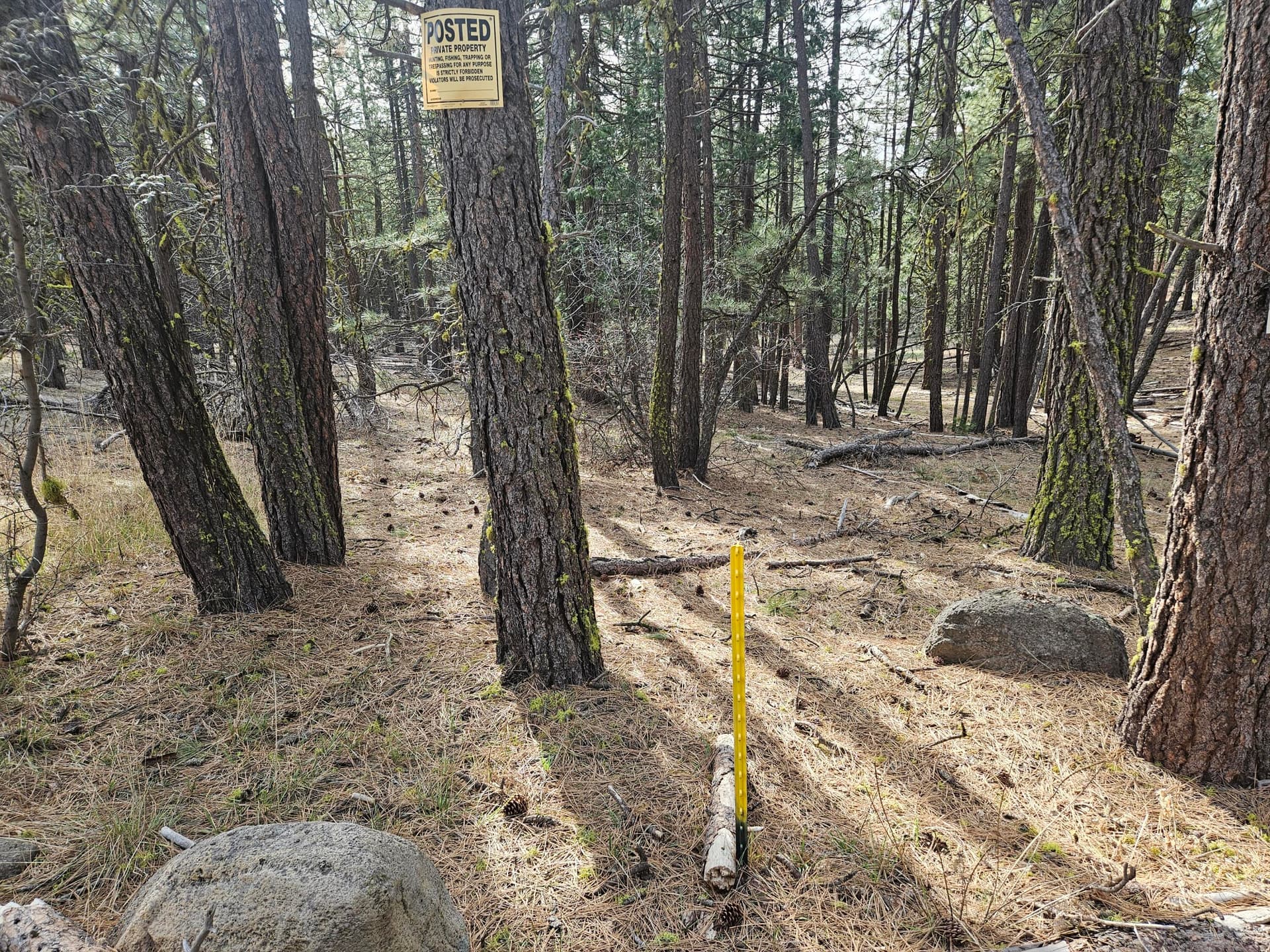 20260131_111425. Photo 2 of 12, 0 Seal Lane Unit 8, Bonanza, OR 97623