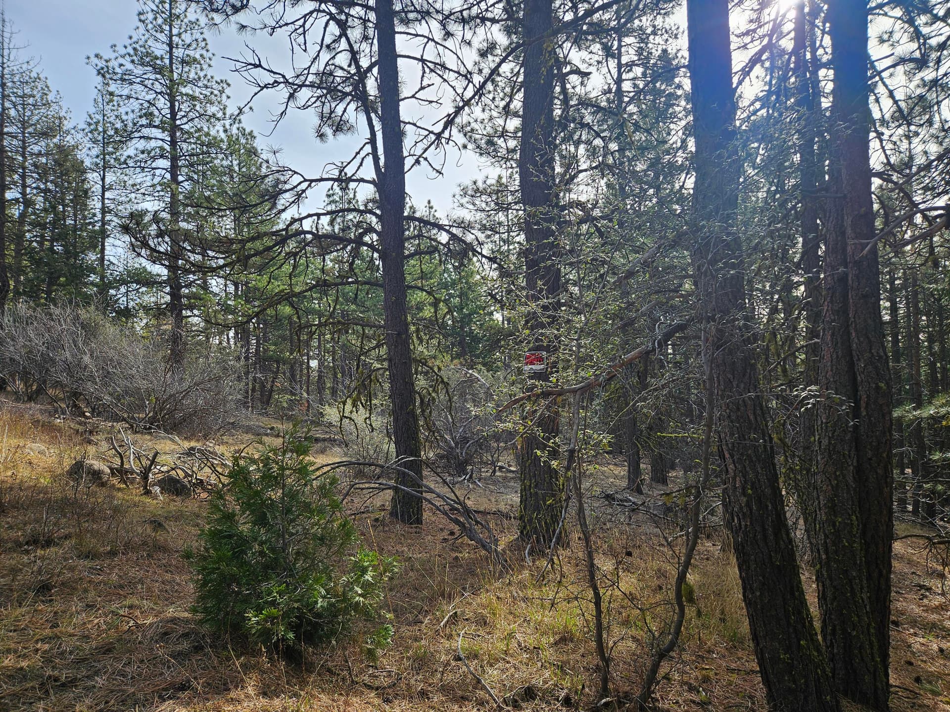 20260131_111430. Photo 4 of 12, 0 Seal Lane Unit 8, Bonanza, OR 97623